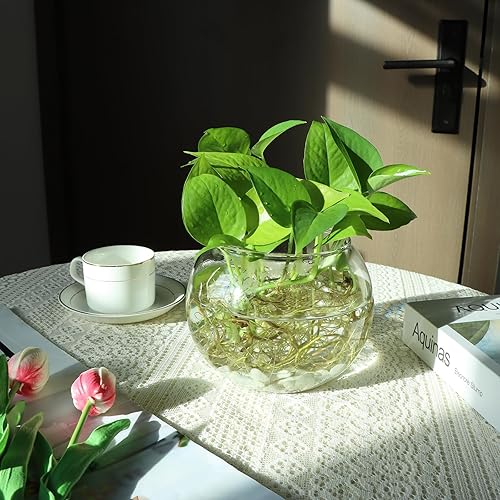 Miniatura 5 de Juego de 4 jarrones de vidrio transparente, 6 pulgadas de ancho x 4.4 pulgadas de alto, candelabros redondos, cuenco de burbujas, jarrones de flores