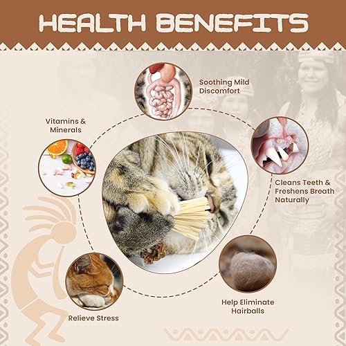 Miniatura 3 de HUPA Palitos de hierba gatera Silvervine - Diseñados para limpiar los dientes de tus gatos, calmar su ansiedad y estrés, juguete masticable con