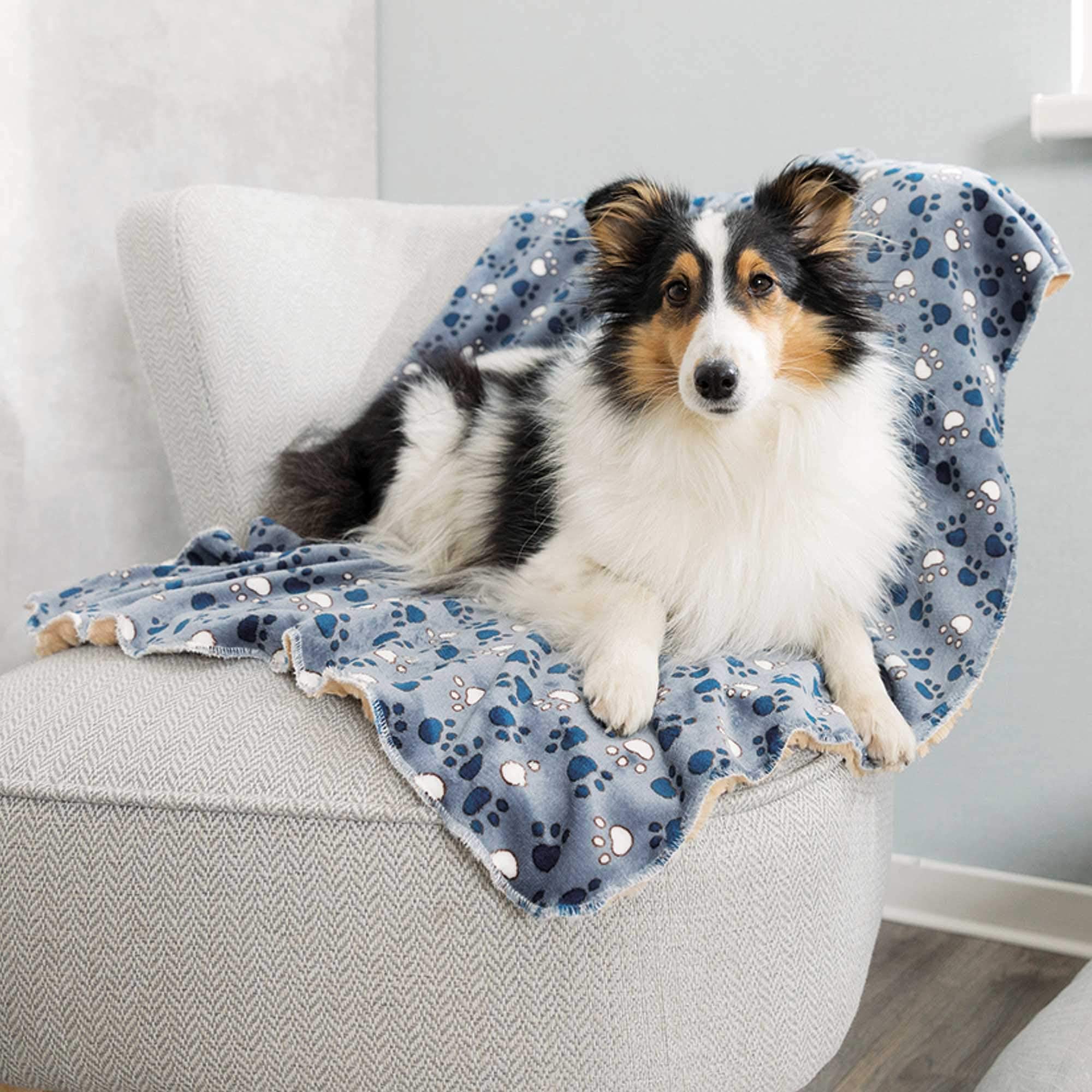 Trixie Tammy coperta