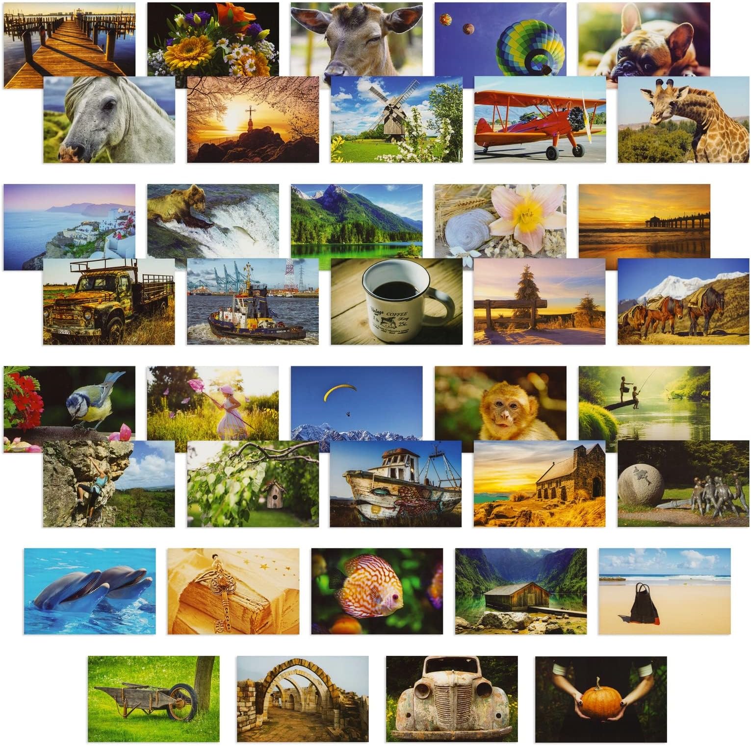 40 Pack Bulk Animal and Travel Postcards From Around the World for Mailing, Assorted Nature Thank You Notes (10 x 15 cm)