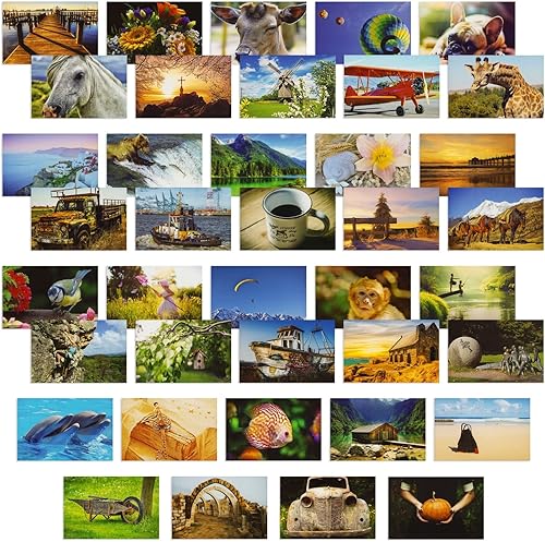 Miniatura 6 de Best Paper Greetings Paquete de 40 postales de viaje a granel de todo el mundo para correo, 20 diseños surtidos (4 x 6 pulgadas)