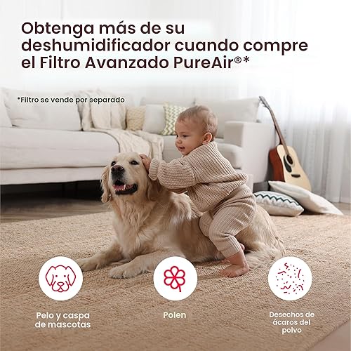 Miniatura 10 de Frigidaire Deshumidificador portátil de 22 pintas con Wi-Fi y certificación Energy Star para habitaciones pequeñas, dormitorios y baños, control de
