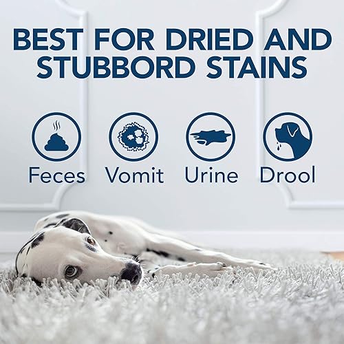 Miniatura 4 de Solución simple Naranja Oxy Cargado las manchas y olor Remover Spray, 32oz