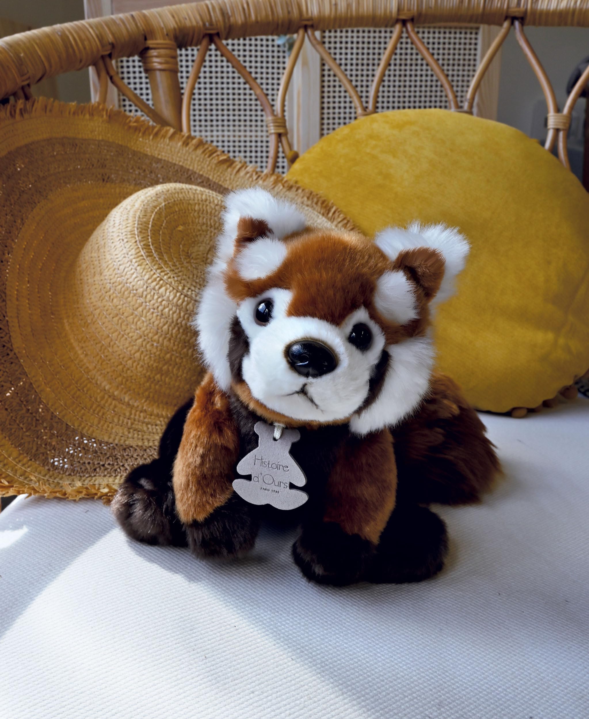 Histoire d'Ours - Los auténticos - Panda rojo