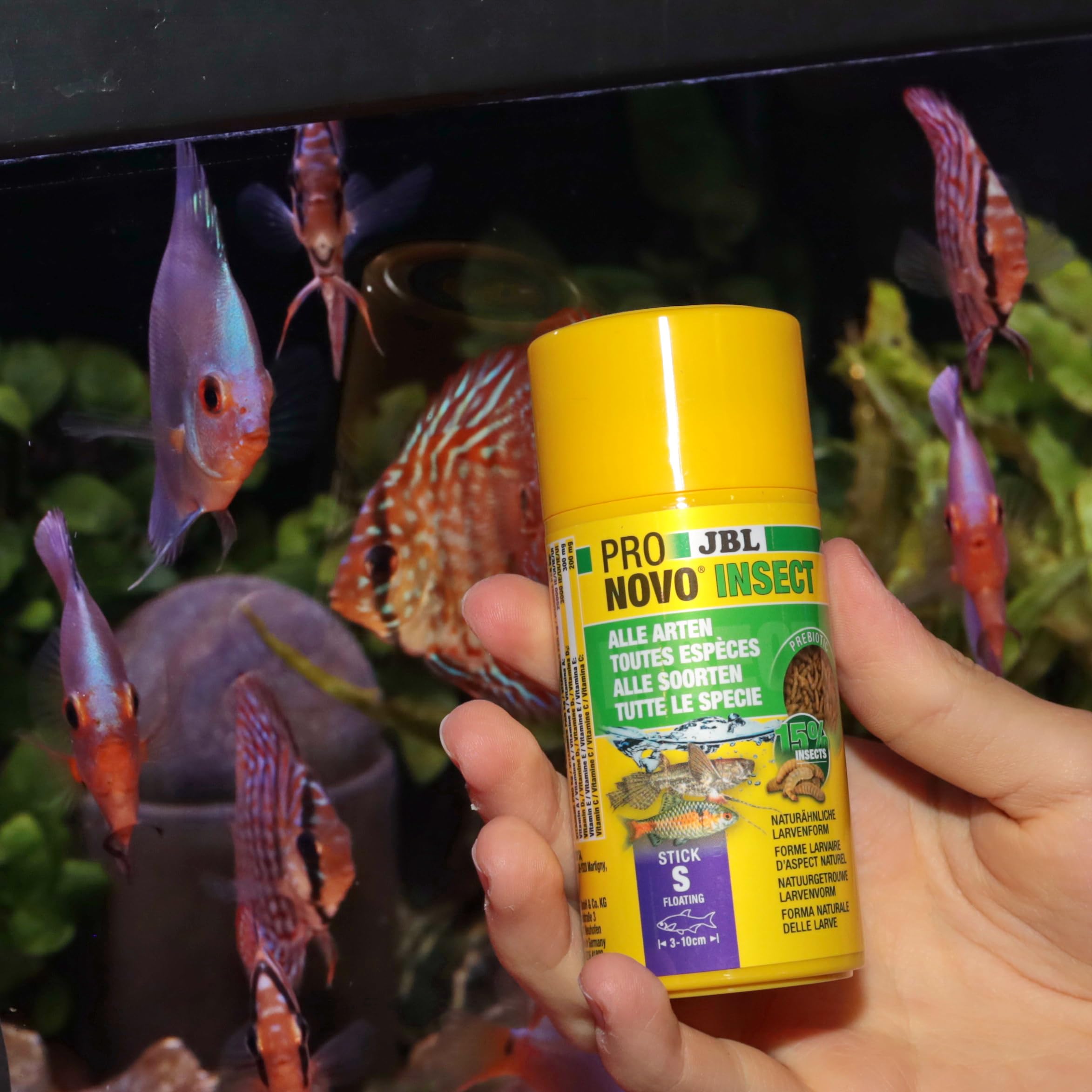 JBL PRONOVO INSECT STICK, Aliment pour tous Poissons d'Aquarium de 3-10 cm, Bâtonnets Alimentaires pour Poissons, Doseur à clic, taille S, 100 ml