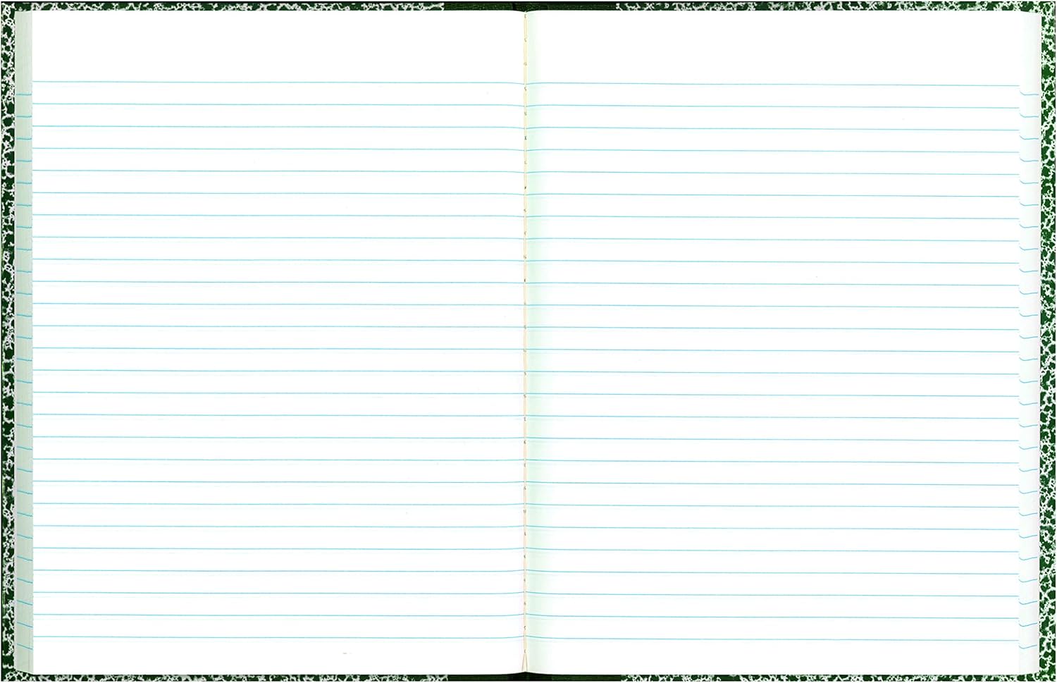 National 53010 Lab Notebook, Legal Rule, 10 1/8 x 7 7/8, White, 96 Sheets : Subject Notebooks : Office Products