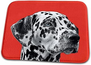 3dRose Dalmatian dog on red background, pet, puppy animal - Dish Drying Mats (ddm-215155-1)