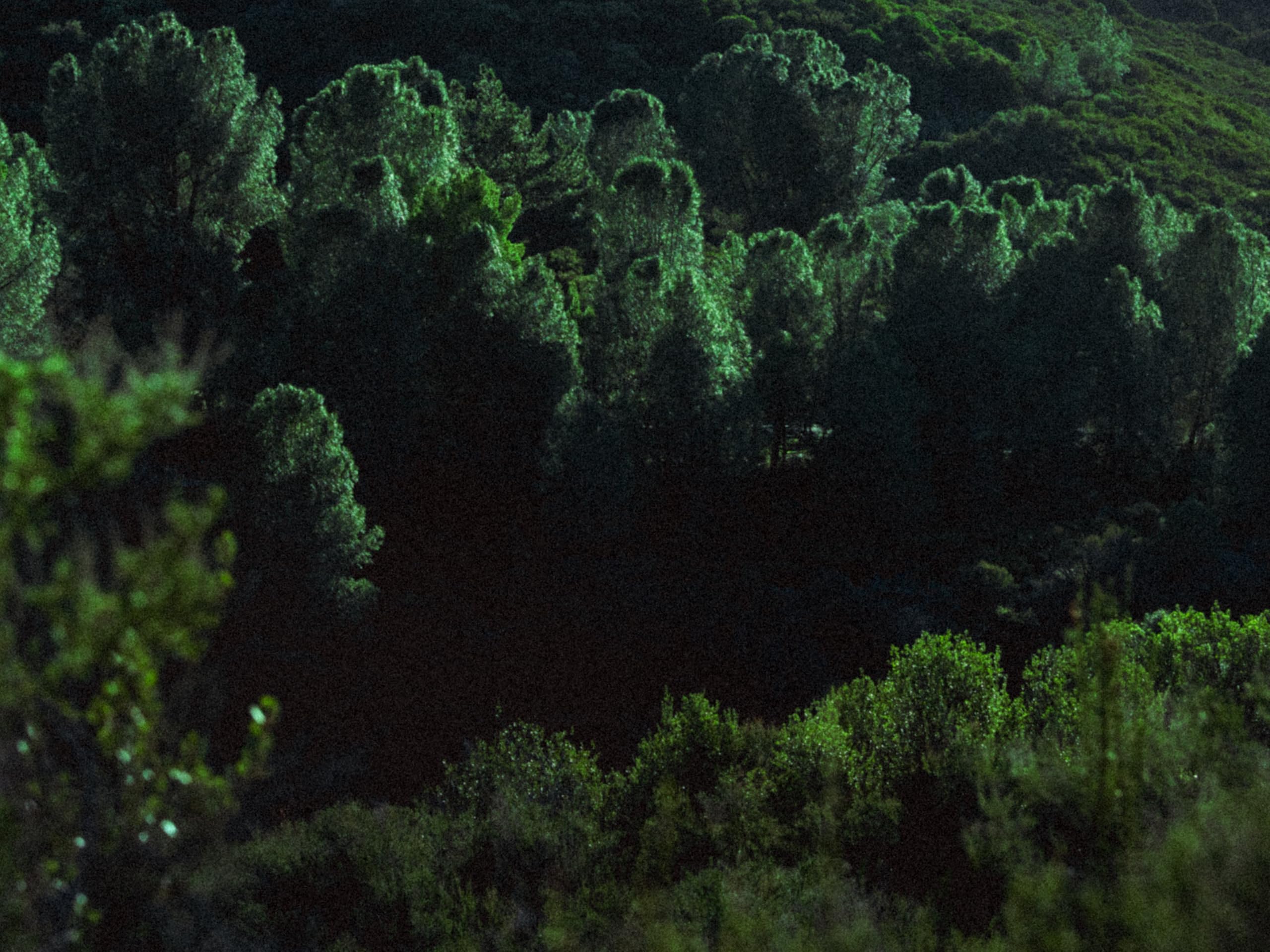 Brendan Willing James