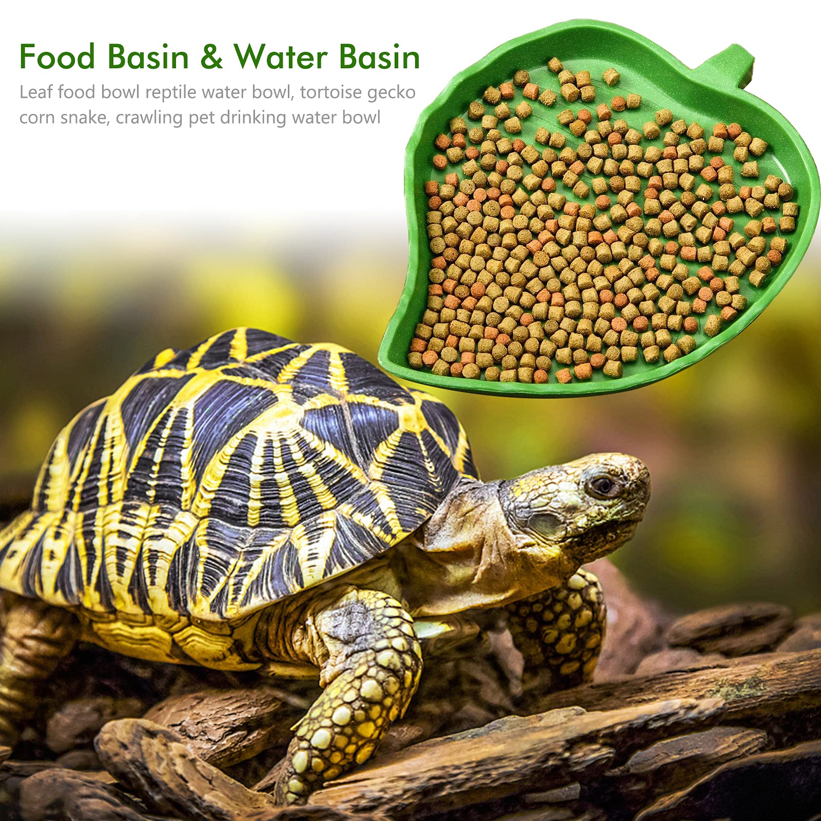 2 Pièces Bol d'eau de Nourriture Abreuvoir Tortue Plat de Reptile pour Petits Animaux domestiques, Lézard, Araignée, Scorpion (Vert)