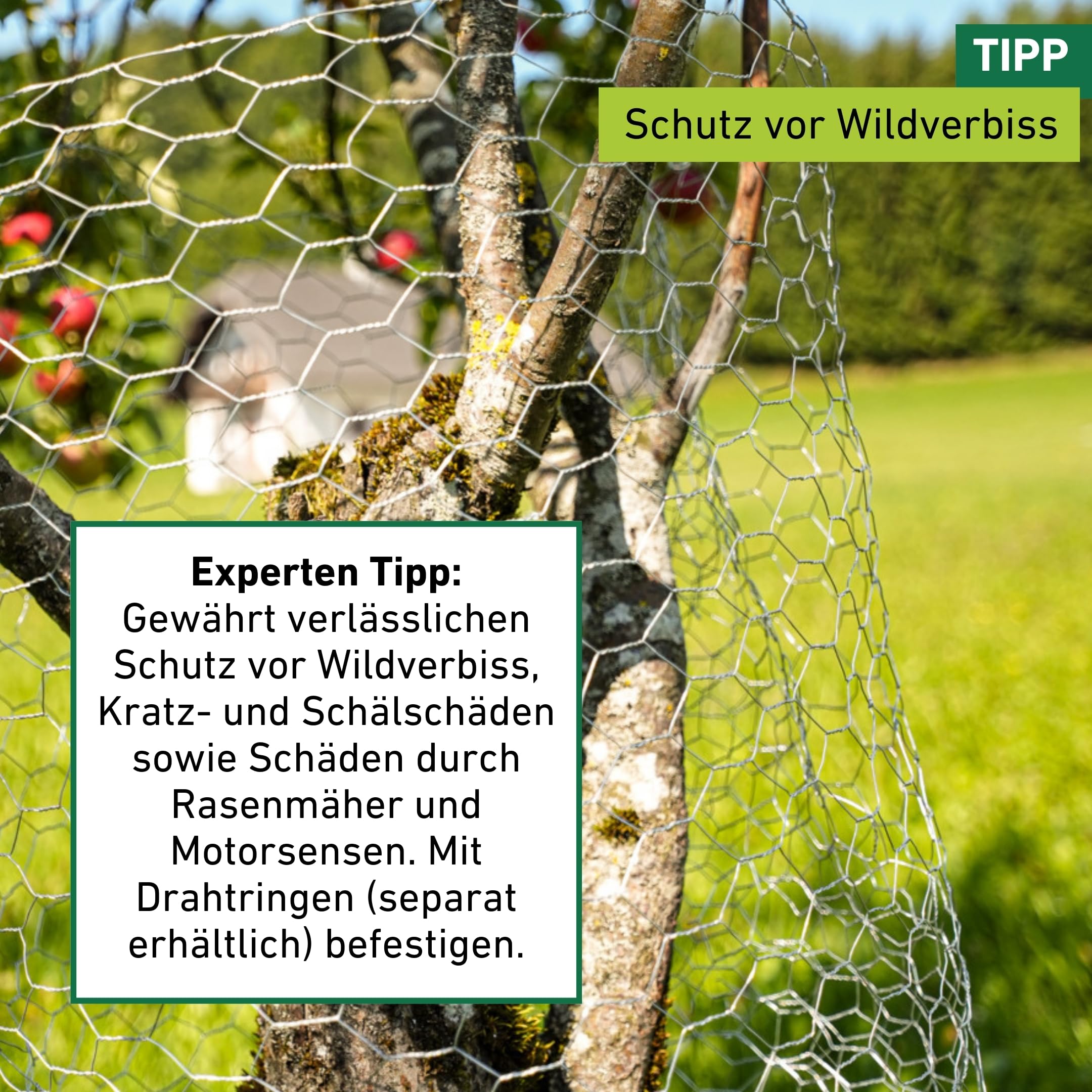 Windhager Kleintiergeflecht verzinkt, Sechseck-Geflecht, Drahtzaun für Hasen und Hühner, Dachrinnenabdeckung, Maschenweite 13 mm, 1 x 10 m