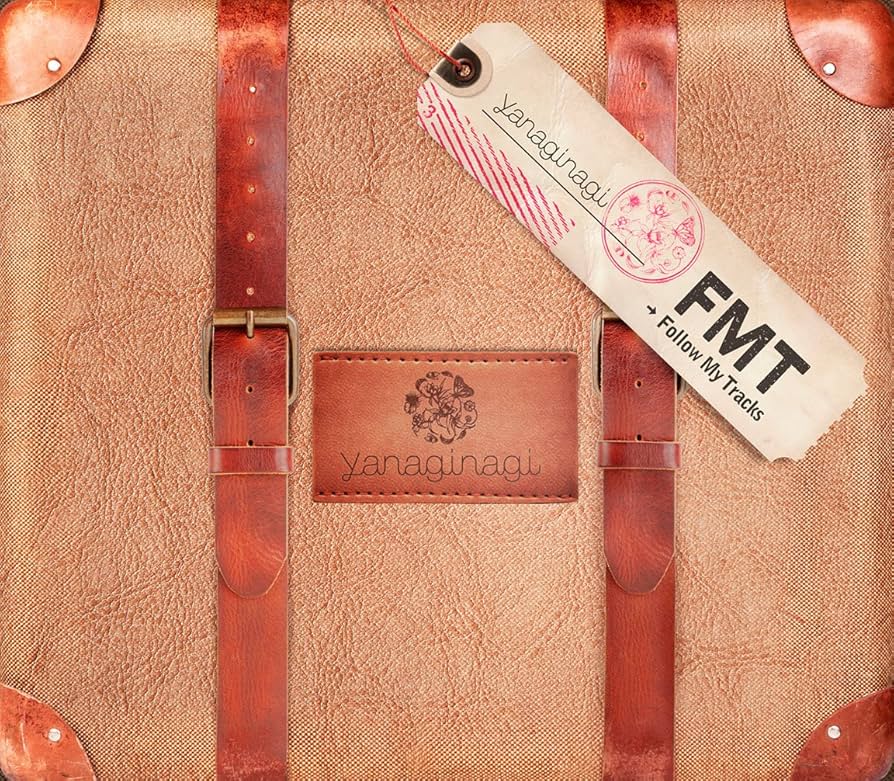 やなぎなぎ　FMT　Follow My Tracks　DVD付き初回限定盤 Amazon.co.jp: Follow My Tracks(初回限定盤)(特典CD+DVD付