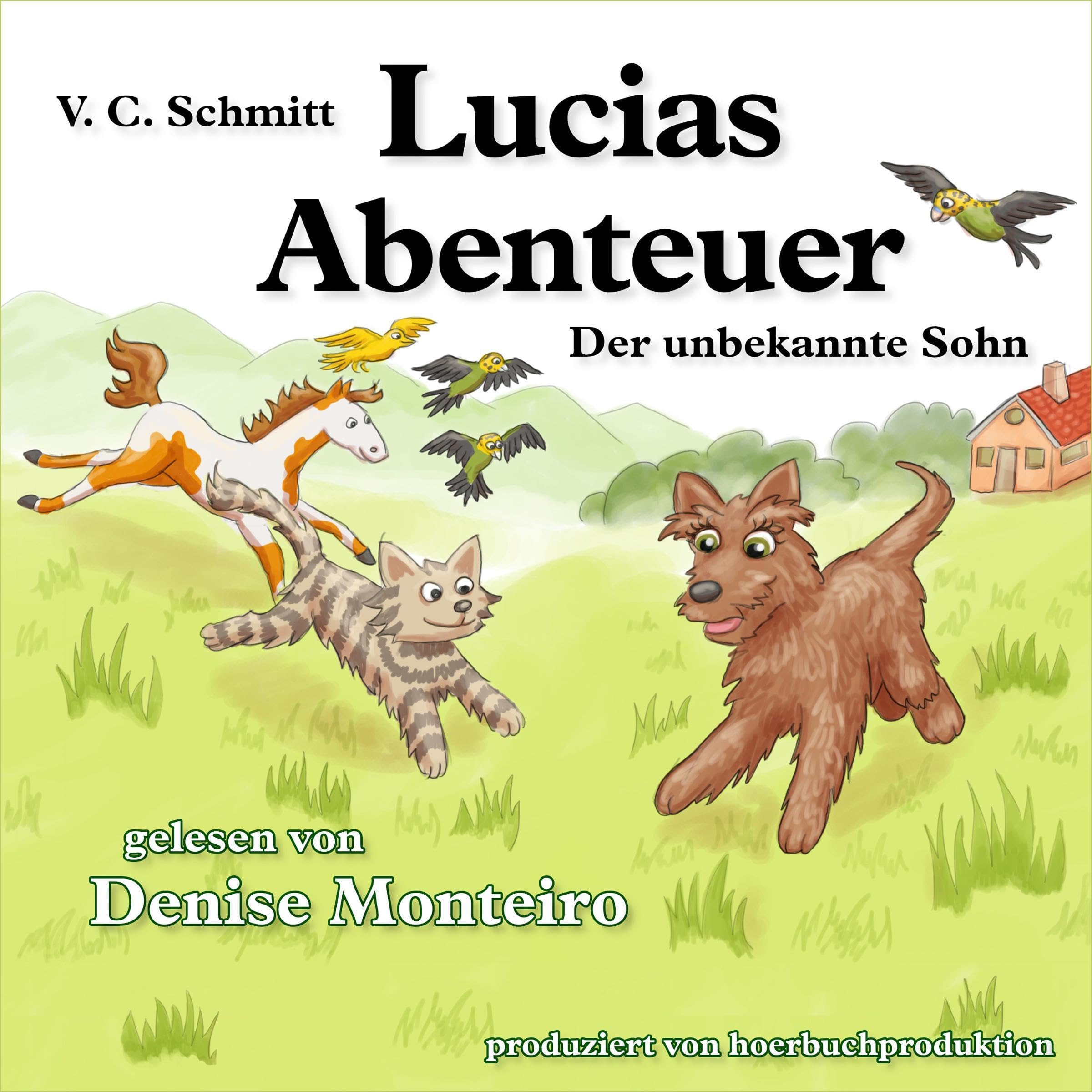 Cover art for Der Unbekannte Sohn