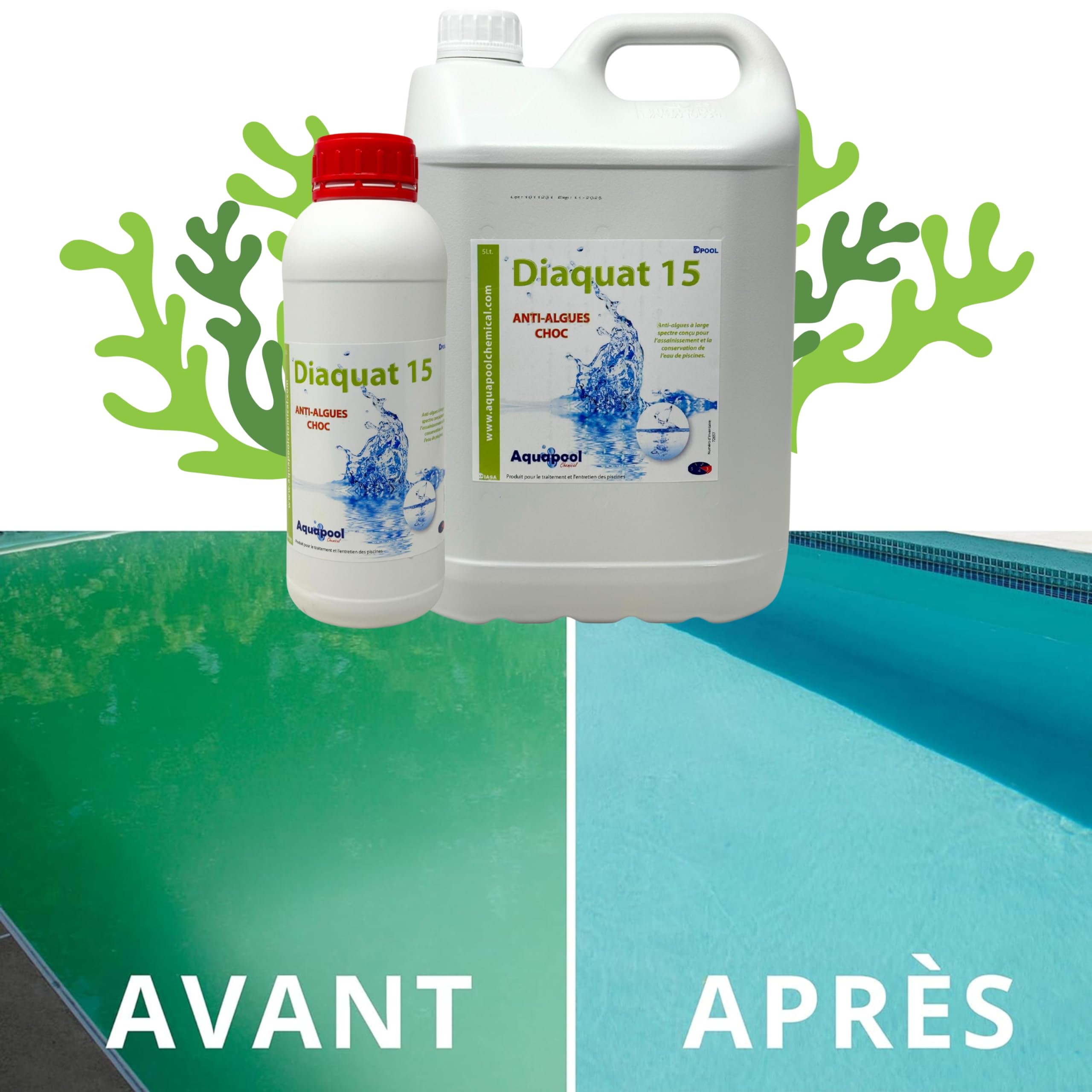 Algicide Anti Algues Piscine, rattrapage Choc Eau Verte │Anti Eau Verte/Trouble, Traitement Anti-algues 1L et 5L │Produit Stop algues et récupération des eaux Troubles (1L)