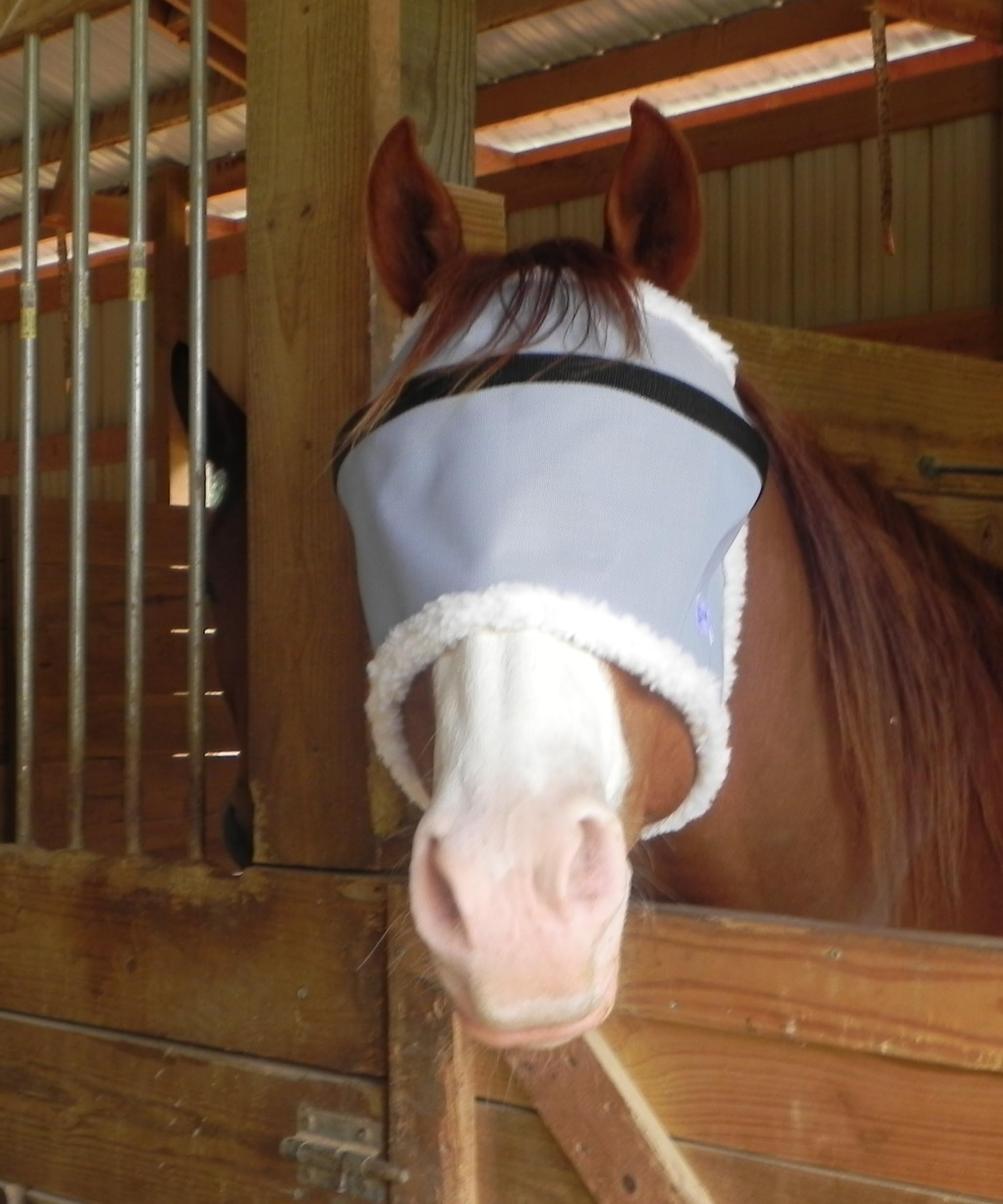 High Brow Eye Protection Shade UV Proof Mask (Large Horse, Beige)