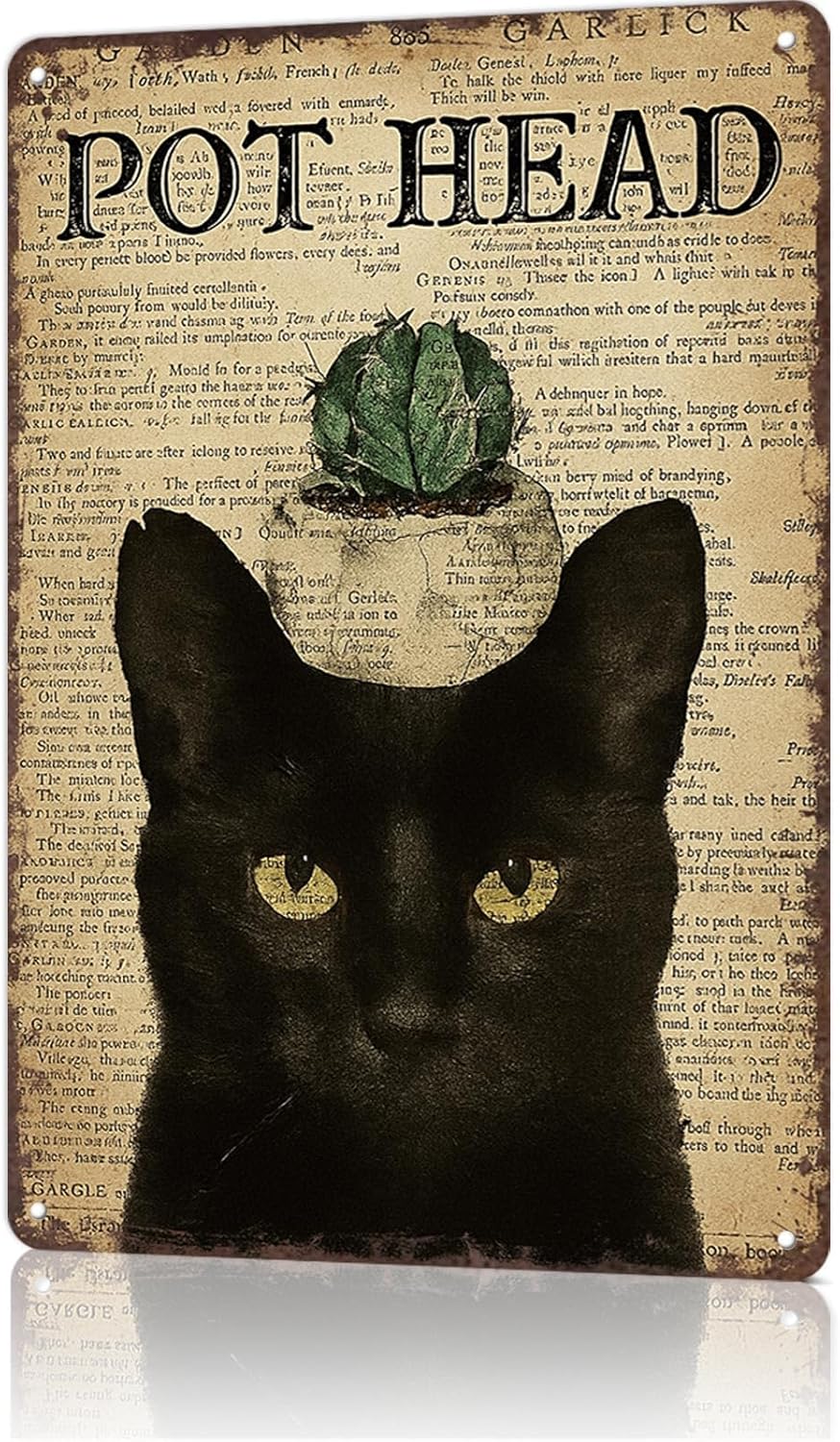 Señalamientos y Placas