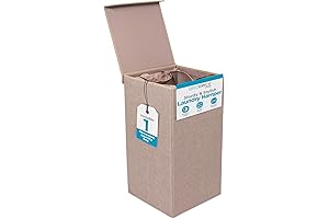 BIRDROCK HOME Collapsible Bedroom Hamper for Laundry with Lid and Removable Bag