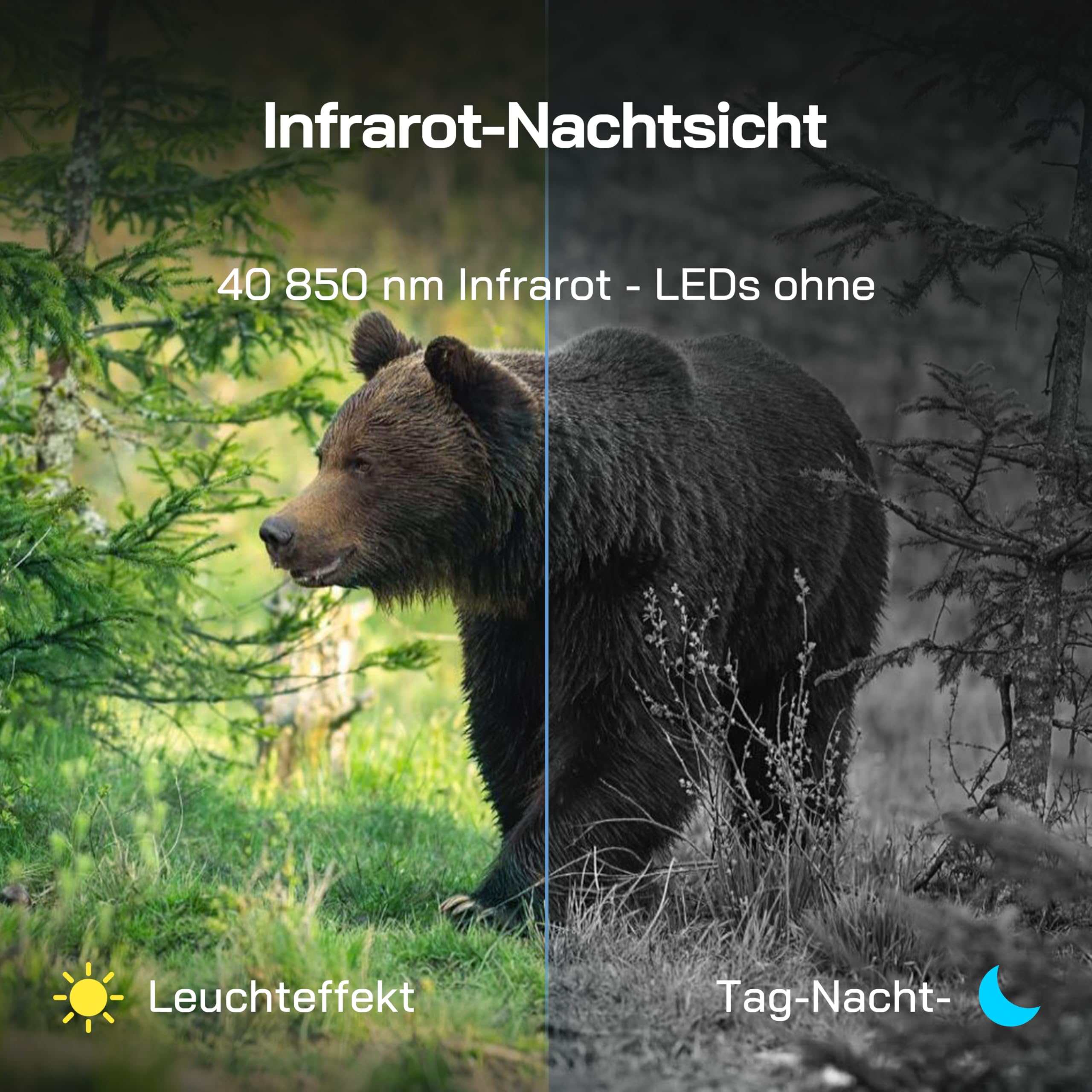 WOLFANG Wildkamera 4K HD, 64MP Full HD WLAN Wildtierkamera mit App, Jagdkamera mit Nachtsicht, Bewegungssensor, IP66 Wasserdicht, 0,1s Auslösezeit für Wildtieraufnahmen