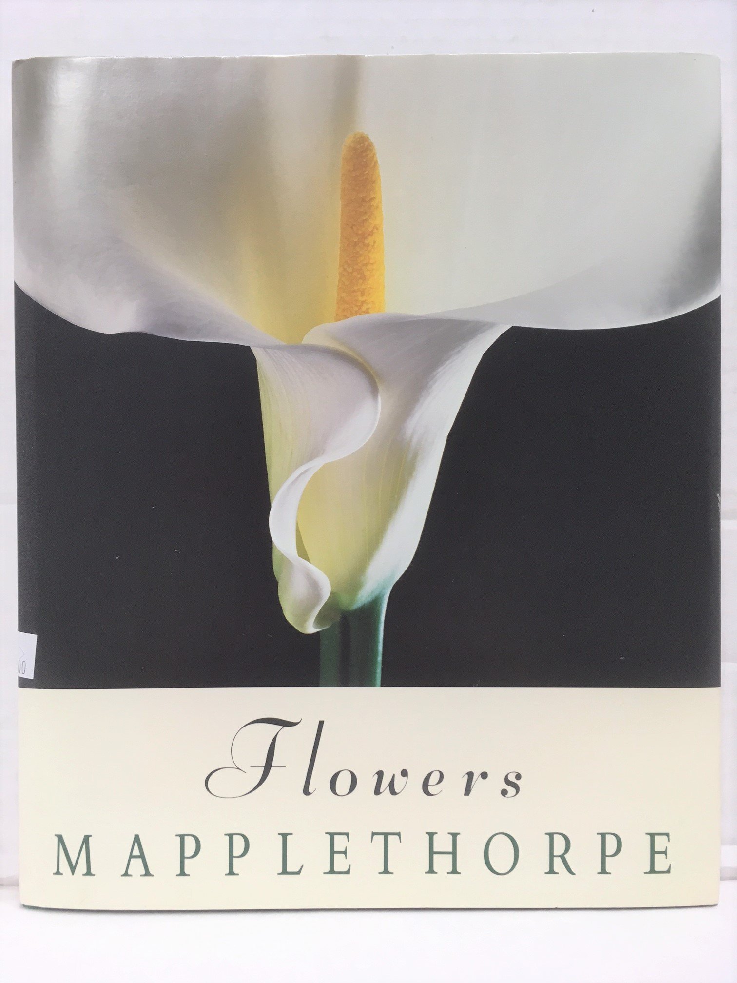 Amazon.co.jp: Robert Mapplethorpe: 本、バイオグラフィー、最新