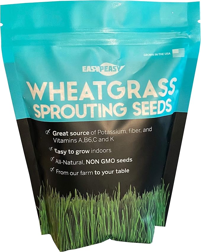 Wheatgrass Seeds Non GMO Grown in USA Wheat Grass