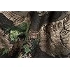 Product Photo 7