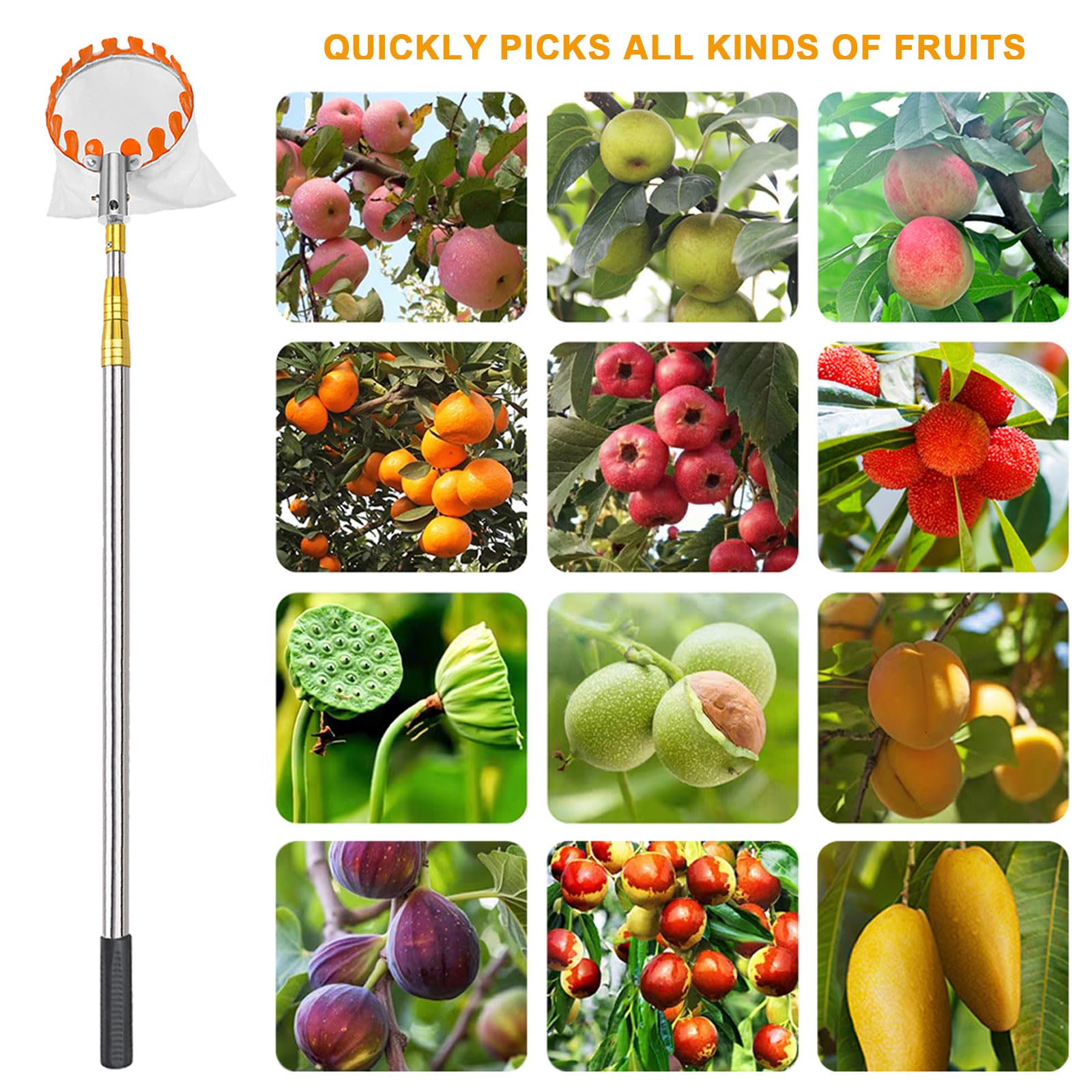 Obstpflücker Diameter 15cm Apfelpflücker mit Teleskopstiel aus Edelstahl und Baumwollbeutel Kirschenpflücker Pflaumenpflücker Obstsammler für Kirschen Reaching Inaccessible Places in Fruit Trees