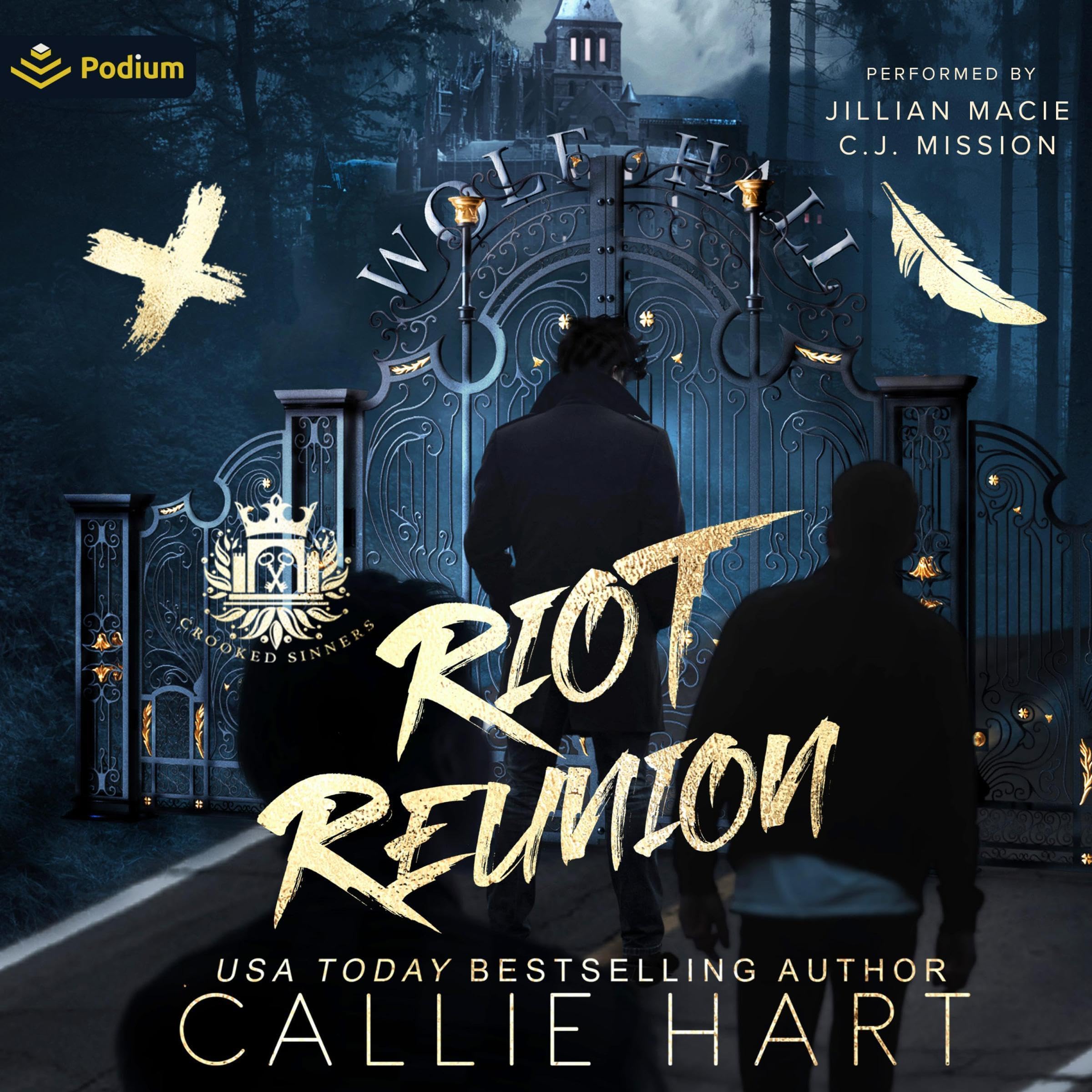 Cover art for Riot Reunion