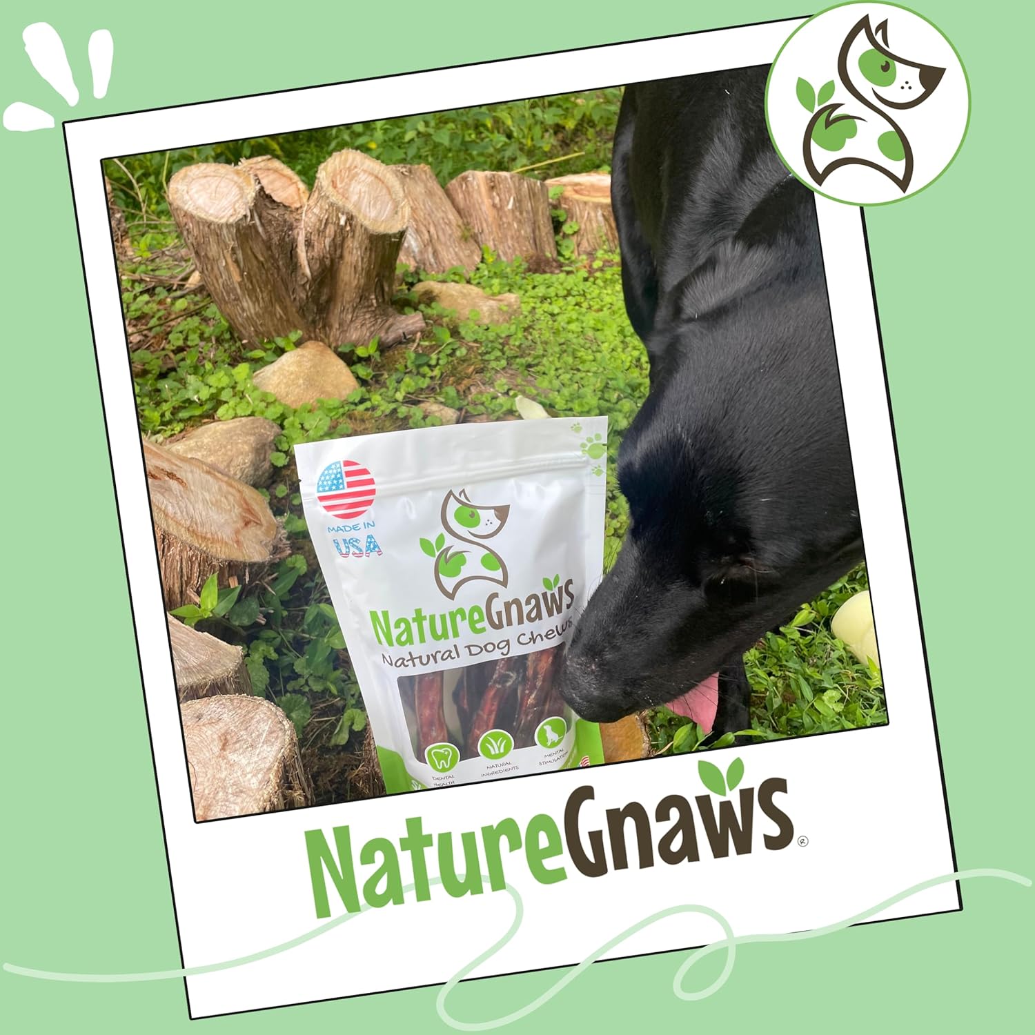 Nature Gnaws USA Steer Sticks for Dogs 5-7" (8oz) - Mixed Thickness - Long Lasting for Aggressive Chewers and Large Dogs - Natural Beef Bully Dog Chew Bones