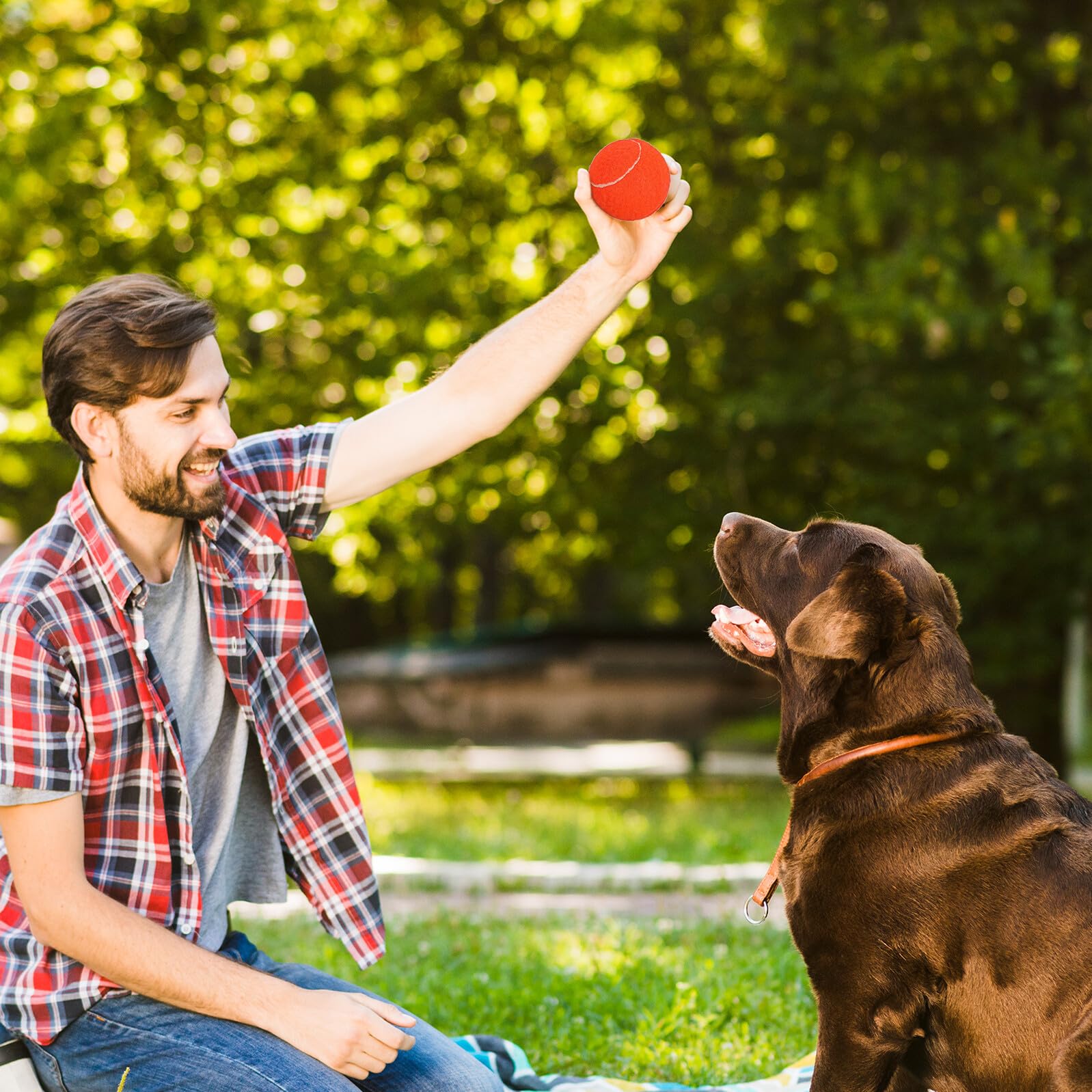 Tofficu 12 Robuste Tennisbälle für Hunde aus Gummi mit Tasche Trainingsspielzeug für Kleine und Welpen Langlebiges Hundespielzeug aus Chemischem Faserstoff Zufällige Farbe