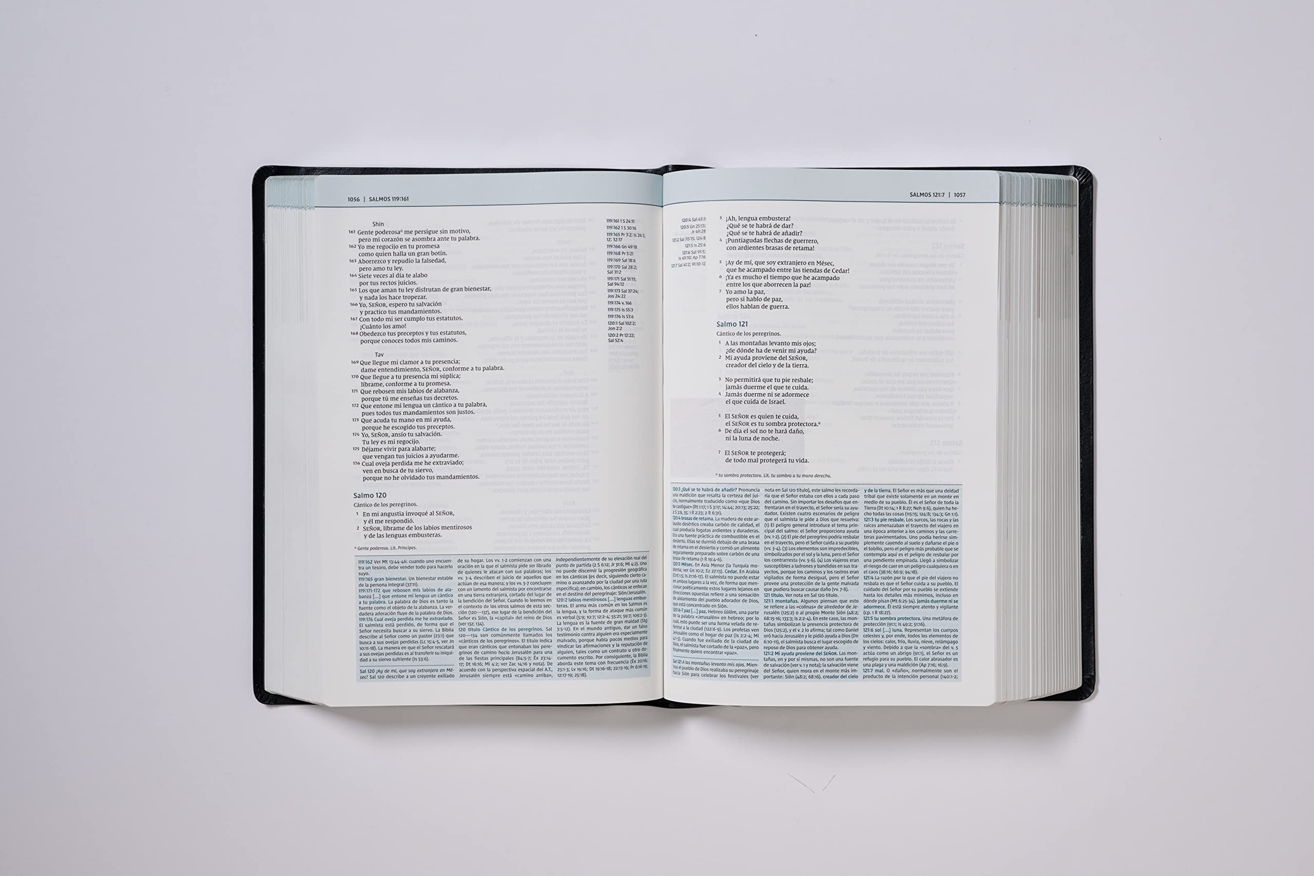 NVI Biblia De Estudio Teologia Biblica: Nueva Version International, Negro, Piel Reciclada: Sigue el plan redentor de Dios como se desenlaza en las Escrituras