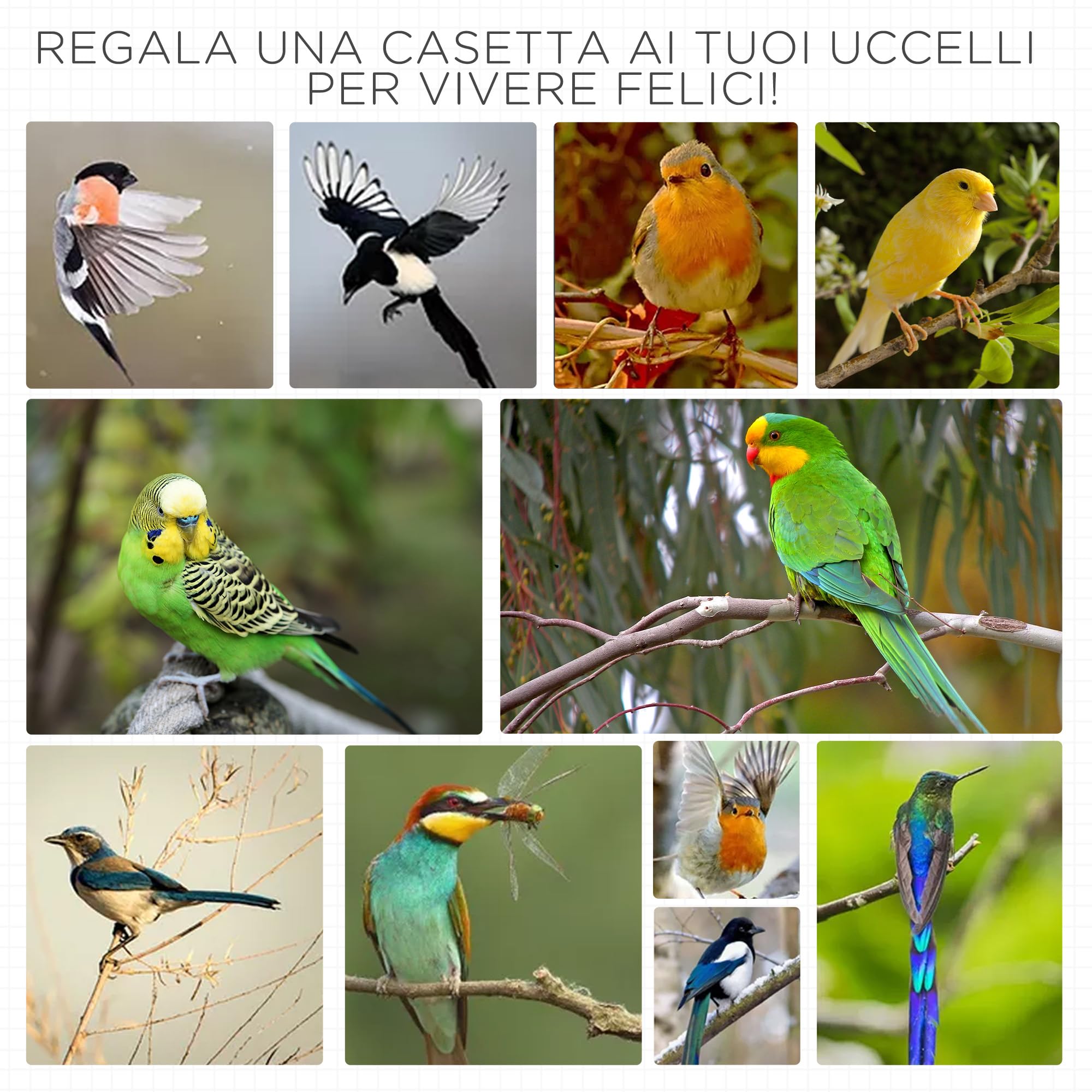 PawHut Gabbia per Uccelli da Esterno in Legno di Abete e Metallo, Voliera per Uccelli a 3 Aperture con Blocco, 4 Posatoi e Vassoio Rimovibile, 80.5x57x153 cm, Grigio Chiaro