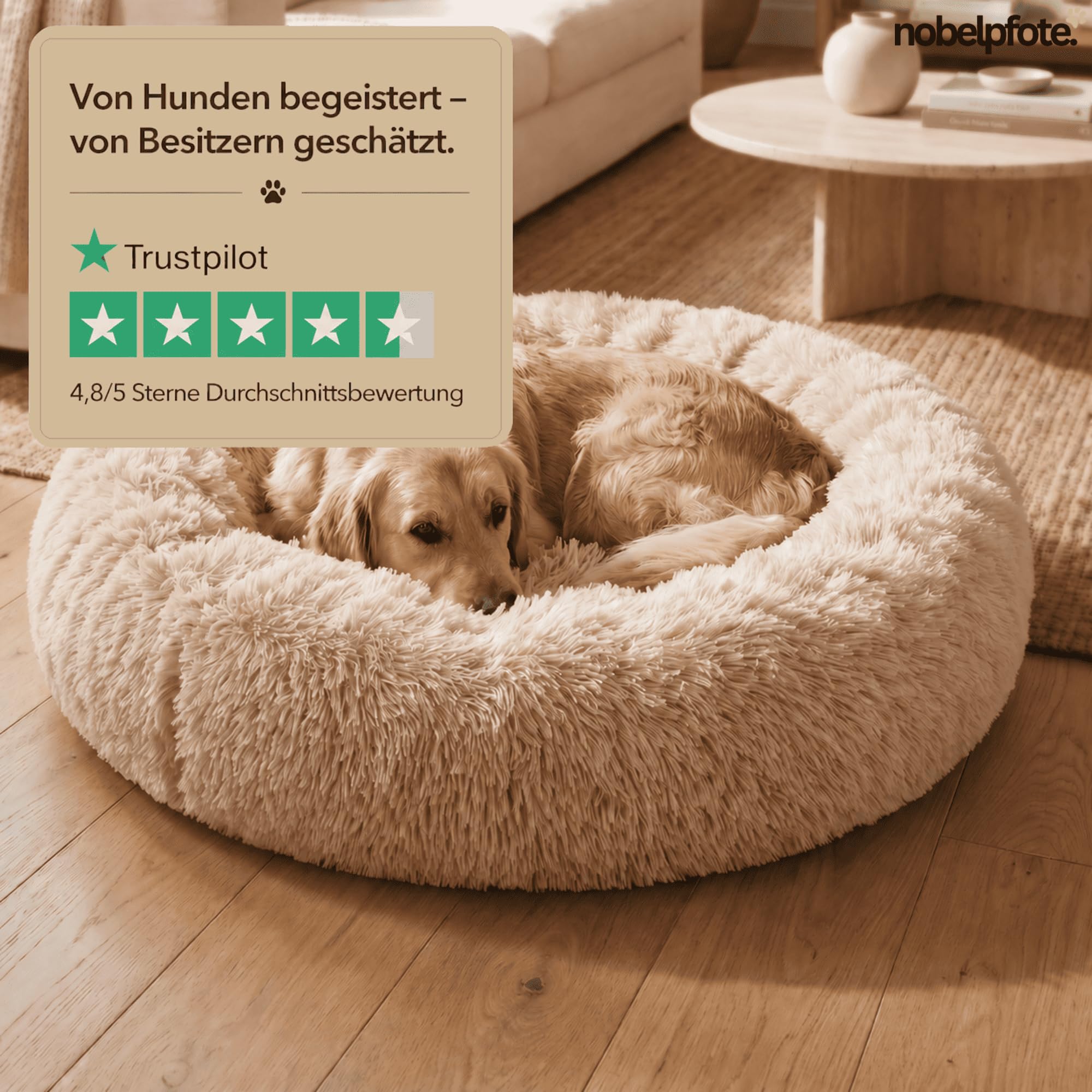 Hundebett Wolke 7 - Kuscheliges Hundekissen, waschbarer Bezug, gelenkschonend für kleine, mittelgroße & große Hunde, Beige, M - 70cm