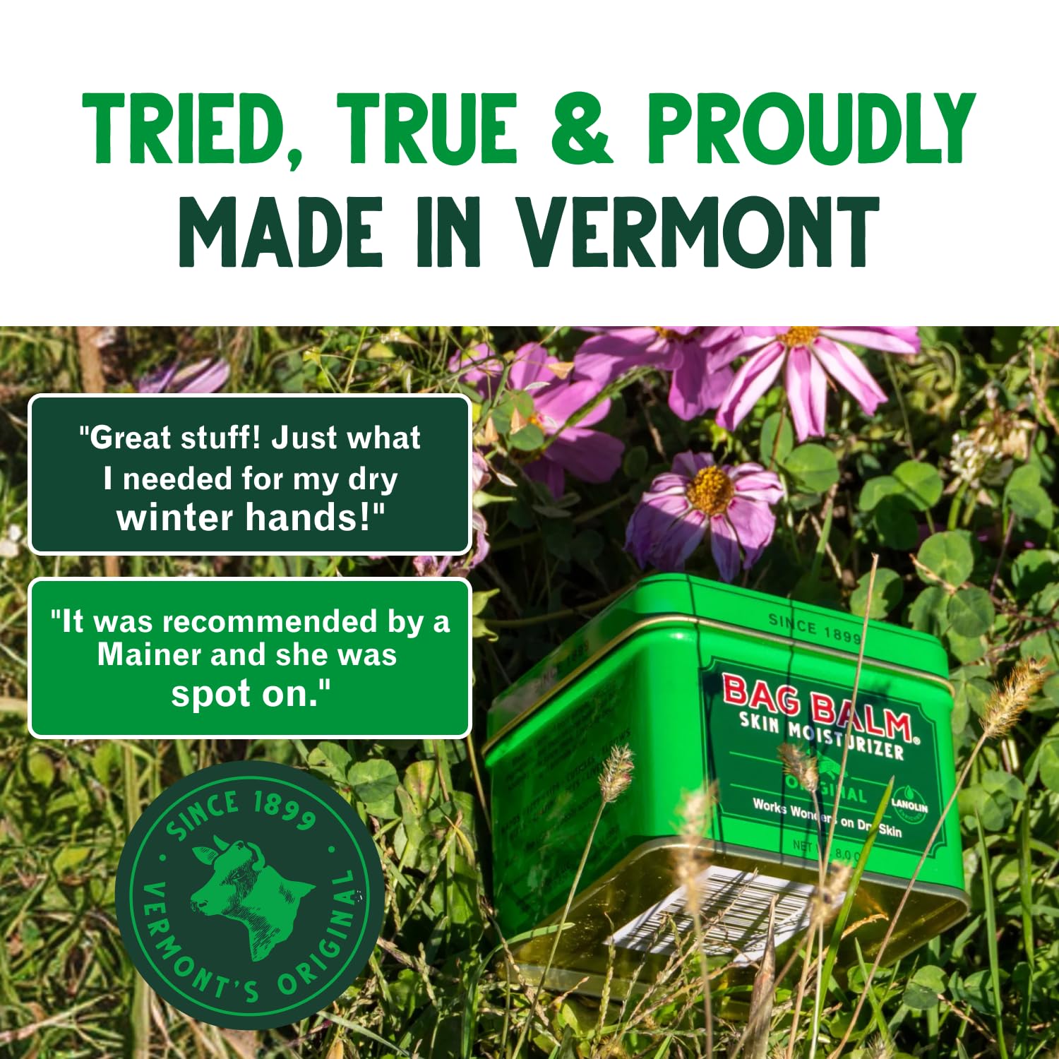 Bag Balm: Original Skin Moisturizer - Dry Skin Relief -8