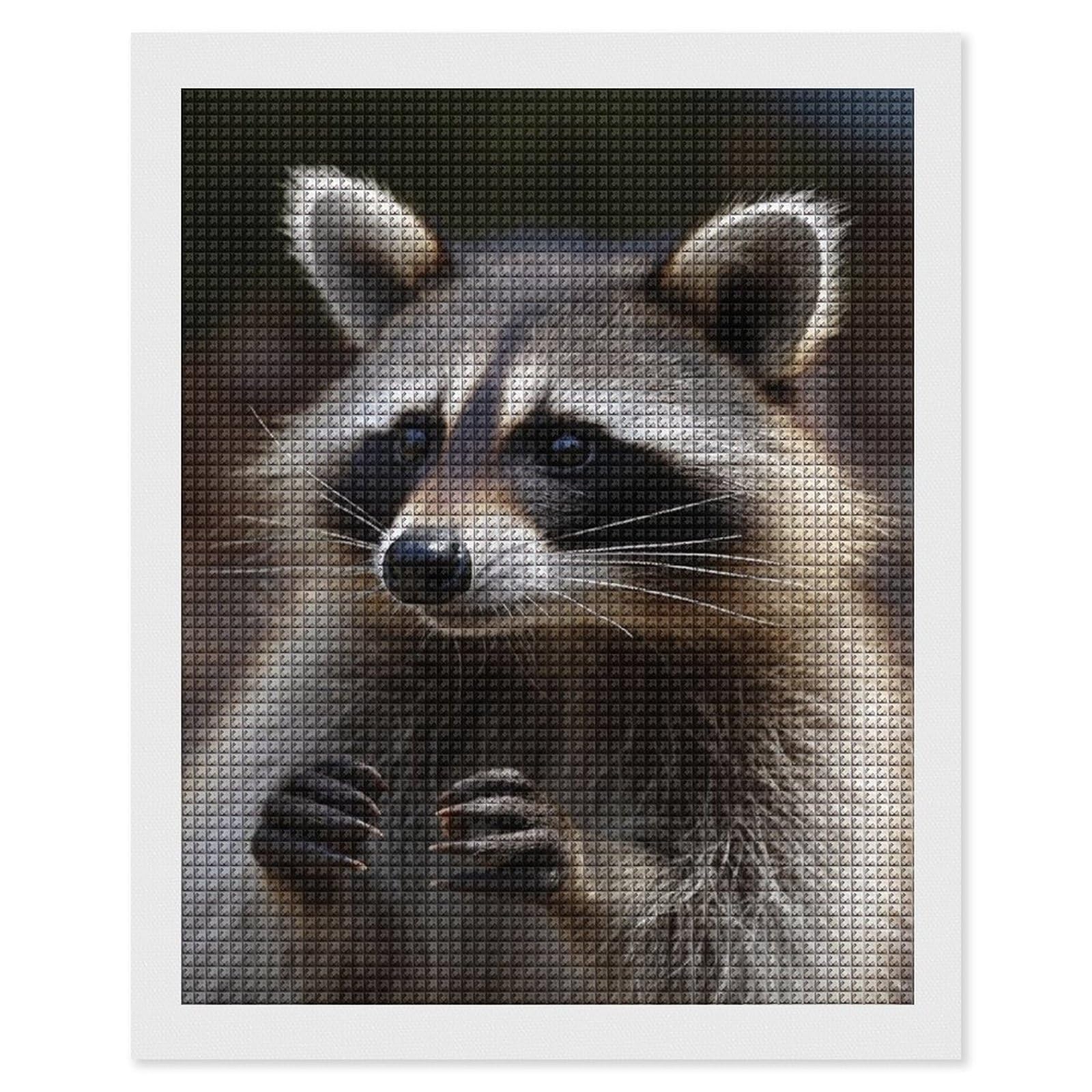 Raccoon Diamond Art Kits for Adults, DIY 5D Diamonds Painting Kits for Beginner, Round Full Drill Diamond Dots Painting, 16"x20" Diamonds Pictures Gem Art and Crafts Wall Decor