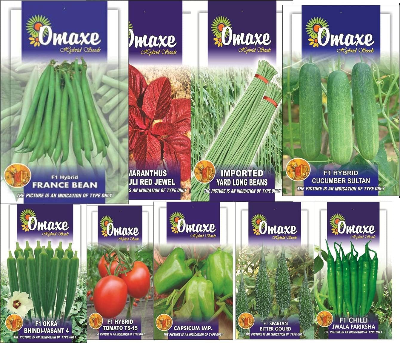 Omaxe Seeds Hybrid Seeds (Multicolor, Pack of 9)