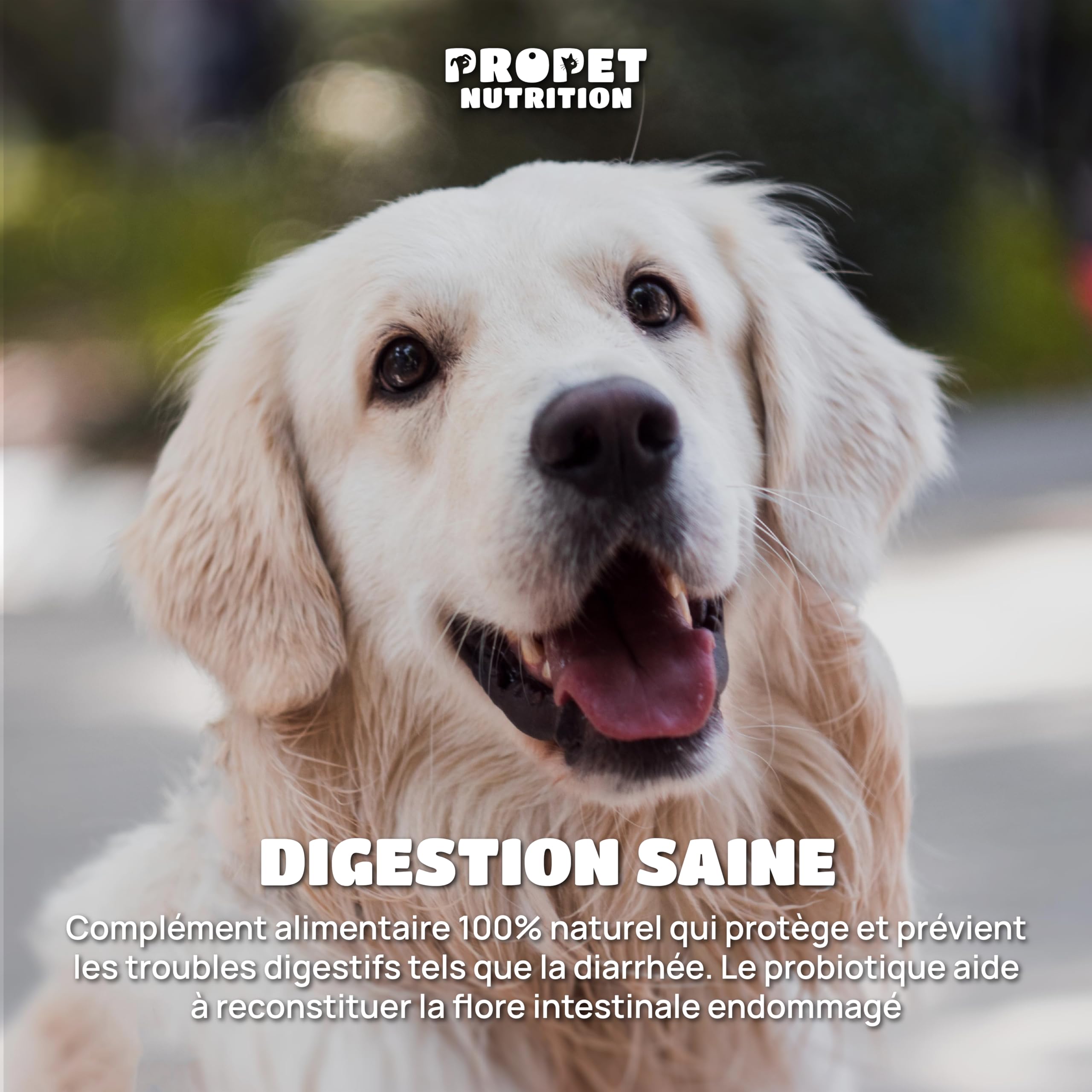 Probiotique Chien + Prebiotique + Vitamines. 11 Souches Bio-Actives. 10 Milliards UFC. 120 Comprimés. Probiotique Flore Intestinale Chien. Propet Nutrition
