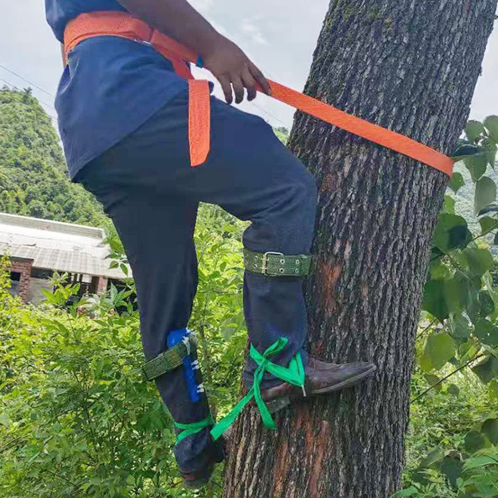 Crampones para trepar árboles, de acero inoxidable, para trepar árboles, artefacto, con pinchos de escalada y correa para el tobillo, equipo de escalada, púas de árbol, para recoger frutas, caza, tala