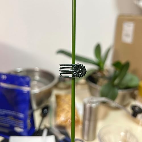 Miniatura 7 de Clips de orquídea para plantas (100, verde) para plantas trepadoras pequeñas y medias, plantas de vid y plantas de tallo único