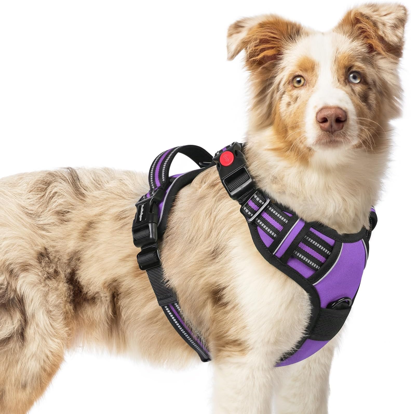 Dog Harness Medium with Neck Release Buckle, Adjustable Anti Pull Dog Harness, Soft Padded with Front Back Clips and Easy Control Handle, Reflective Dog Vest Harness, Purple, M