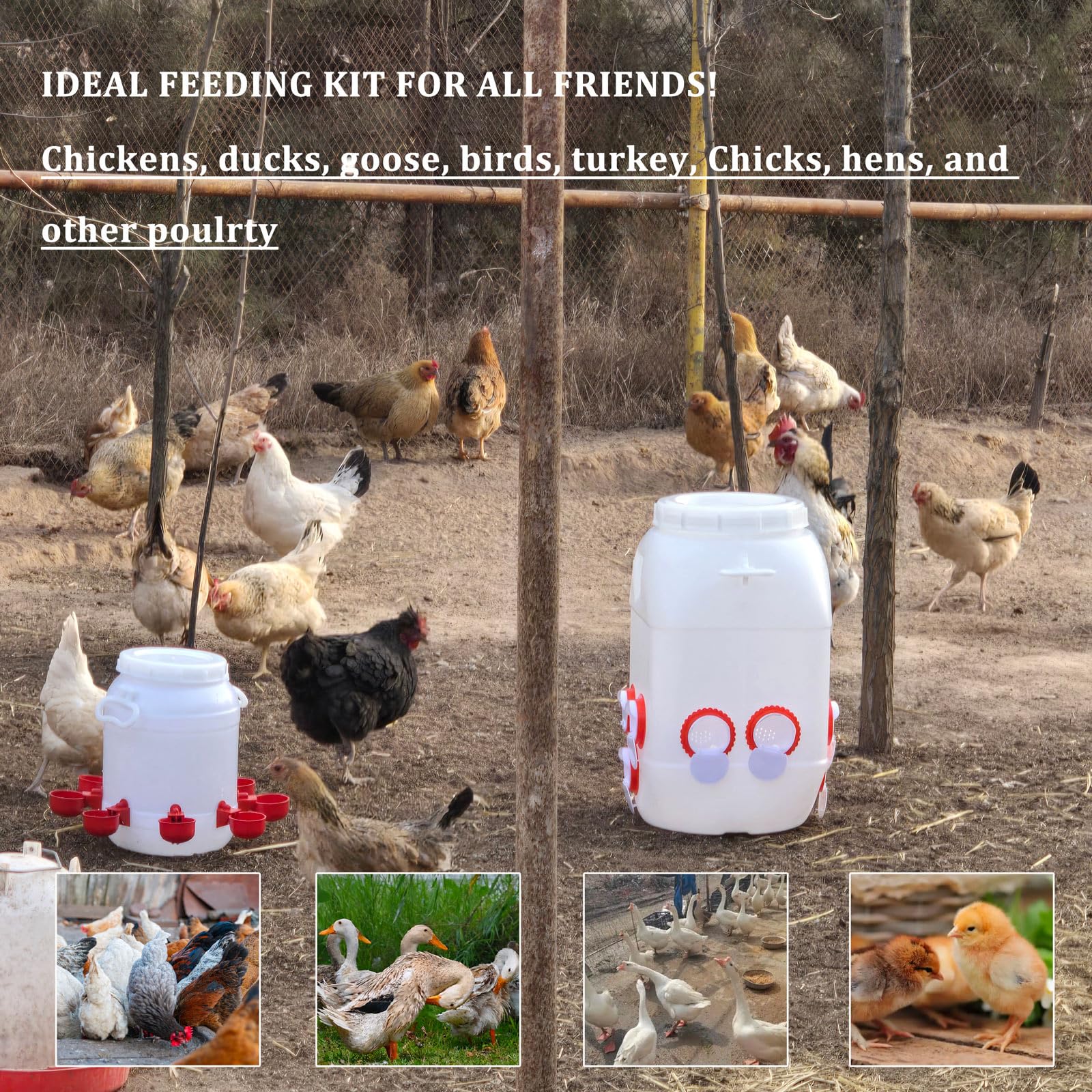 Set Mangiatoia e Abbeveratoio per Galline Polli, Plastica Resistente Alimentatore 50L con 10 Porte, Distributore Acqua 10L con 8 Tazze per Pulcini Anatre Pollame(Color:Bianco)
