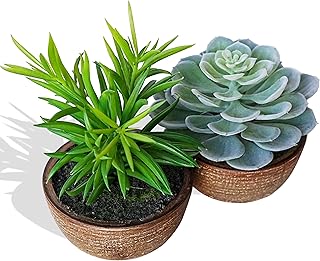 2 Pack Artificial Succulent Plants