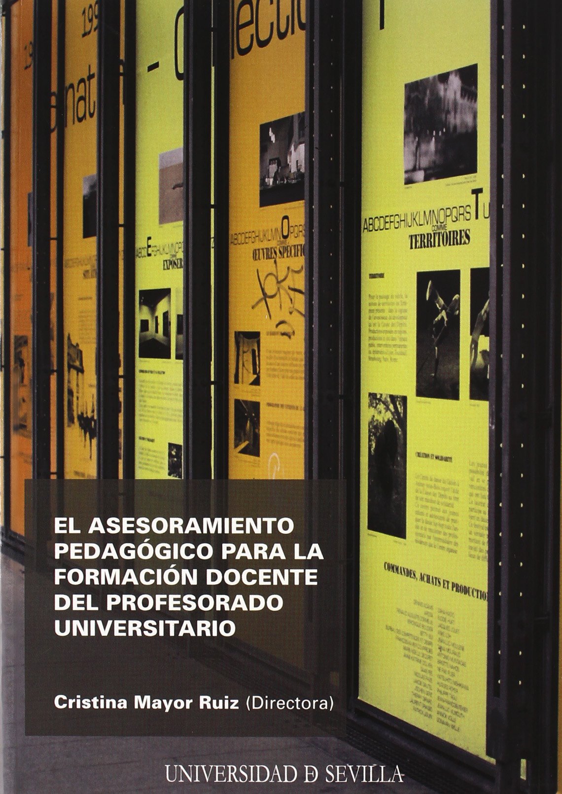 El asesoramiento pedagógico para la formación docente del profesorado universitario: 26