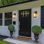 Outdoor Wall Lantern, Exterior Light Fixtures Wall Mount Anti-Rust & Waterproof, Black Wall Sconce with Clear Glass Shade, E26 Socket Porch Light for Garage, Doorway(Bulb Included)