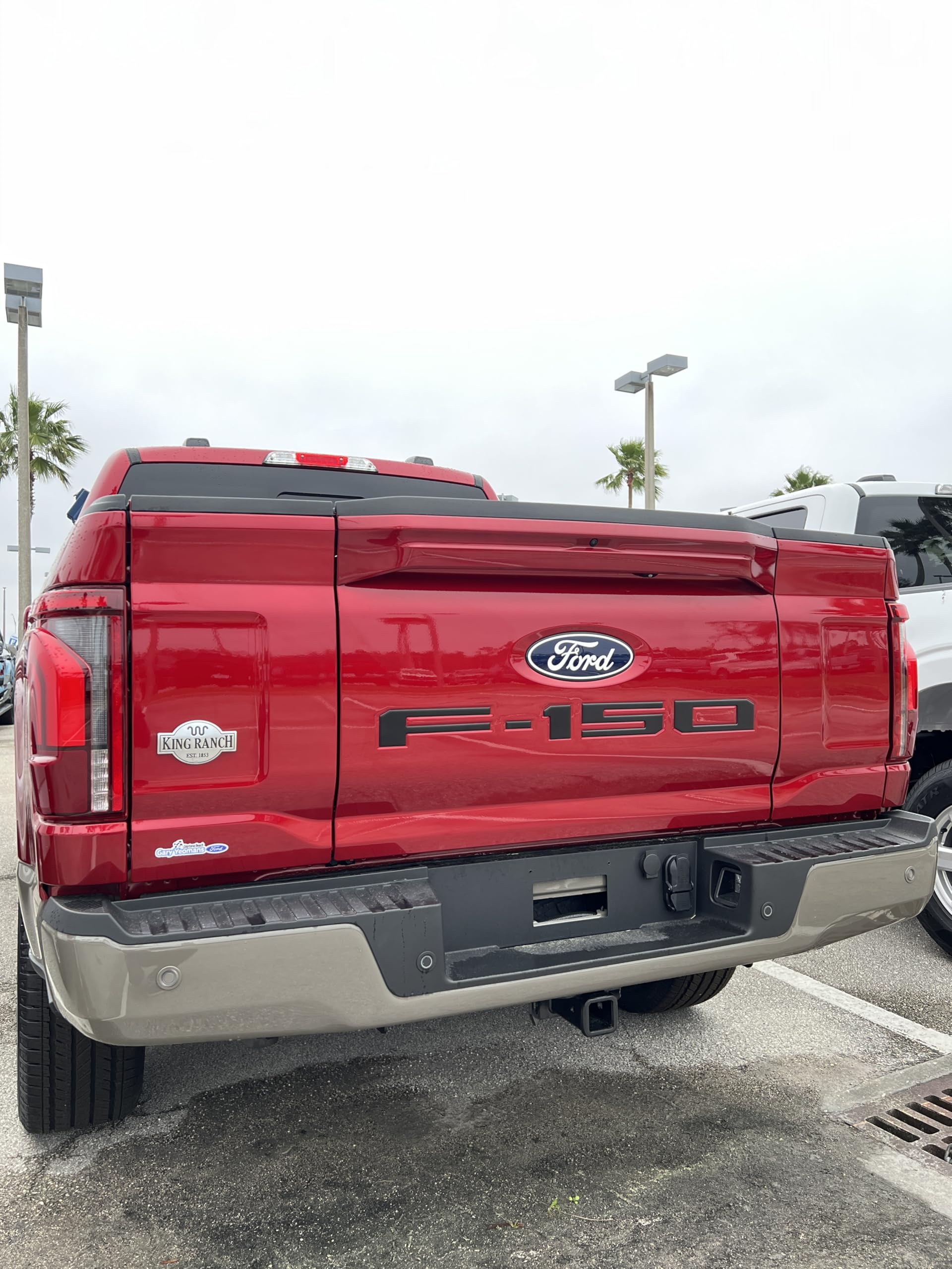 F-150 Tailgate Emblem Letter Inserts - Compatible with 2021-2026 F-150