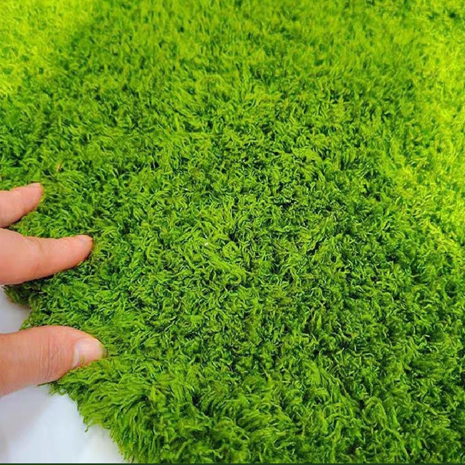 Zum Basteln Künstlicher Moos-Teppich, Grün, 1 M X Grünpflanzen