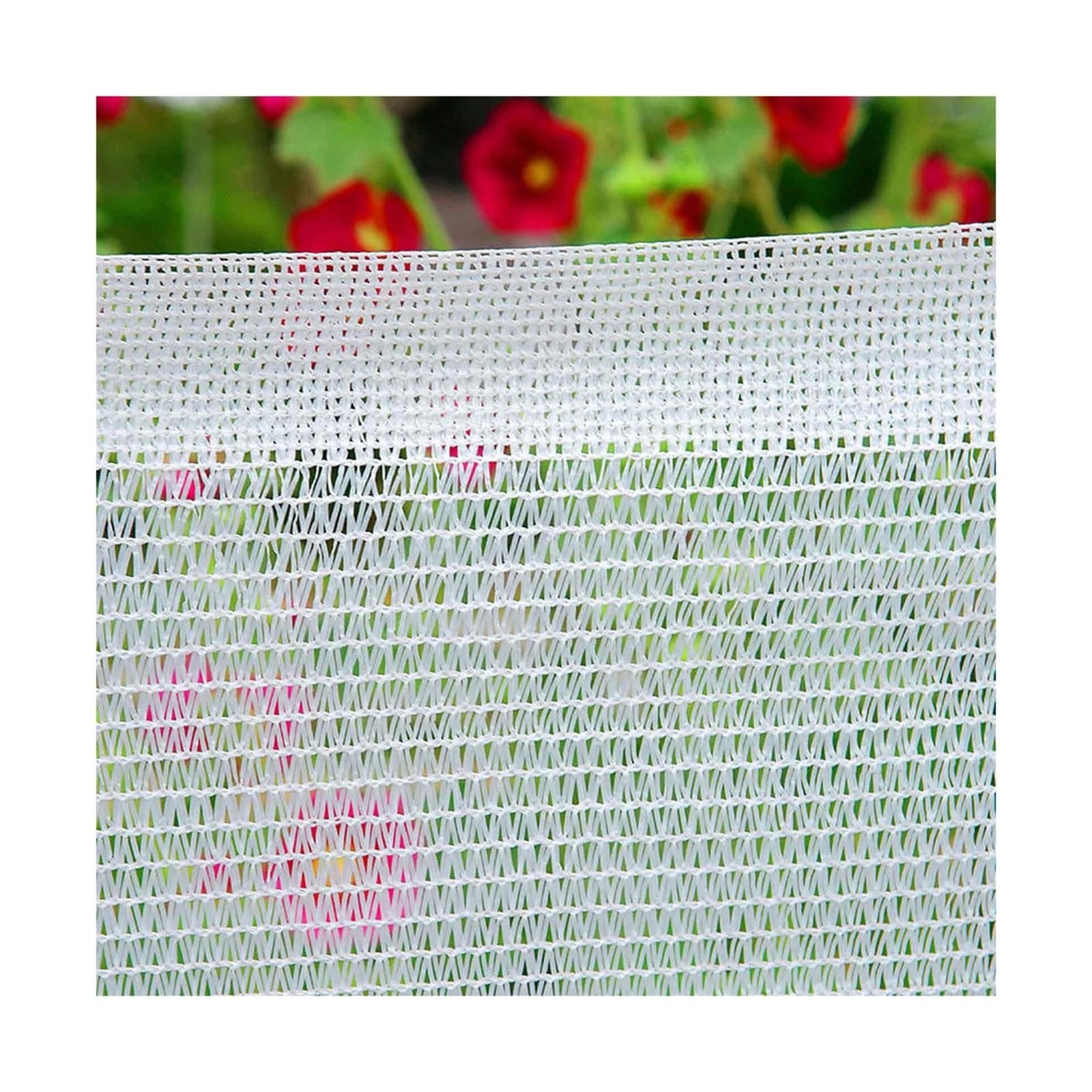 Toile blanche 40% pour plantes et couverture de piscine résistante multi-tailles