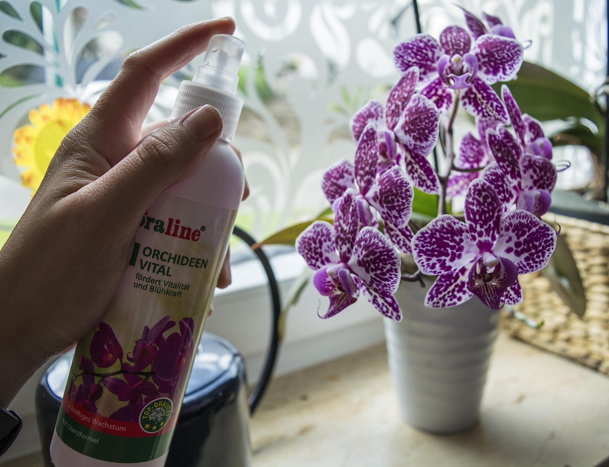 floraline® Kit de démarrage d'engrais pour orchidées : 20 bâtonnets, 3 cures vitales et 250 ml de spray vital | Pour des mois de magnifiques fleurs avec croissance et fleurs saines et brillantes |
