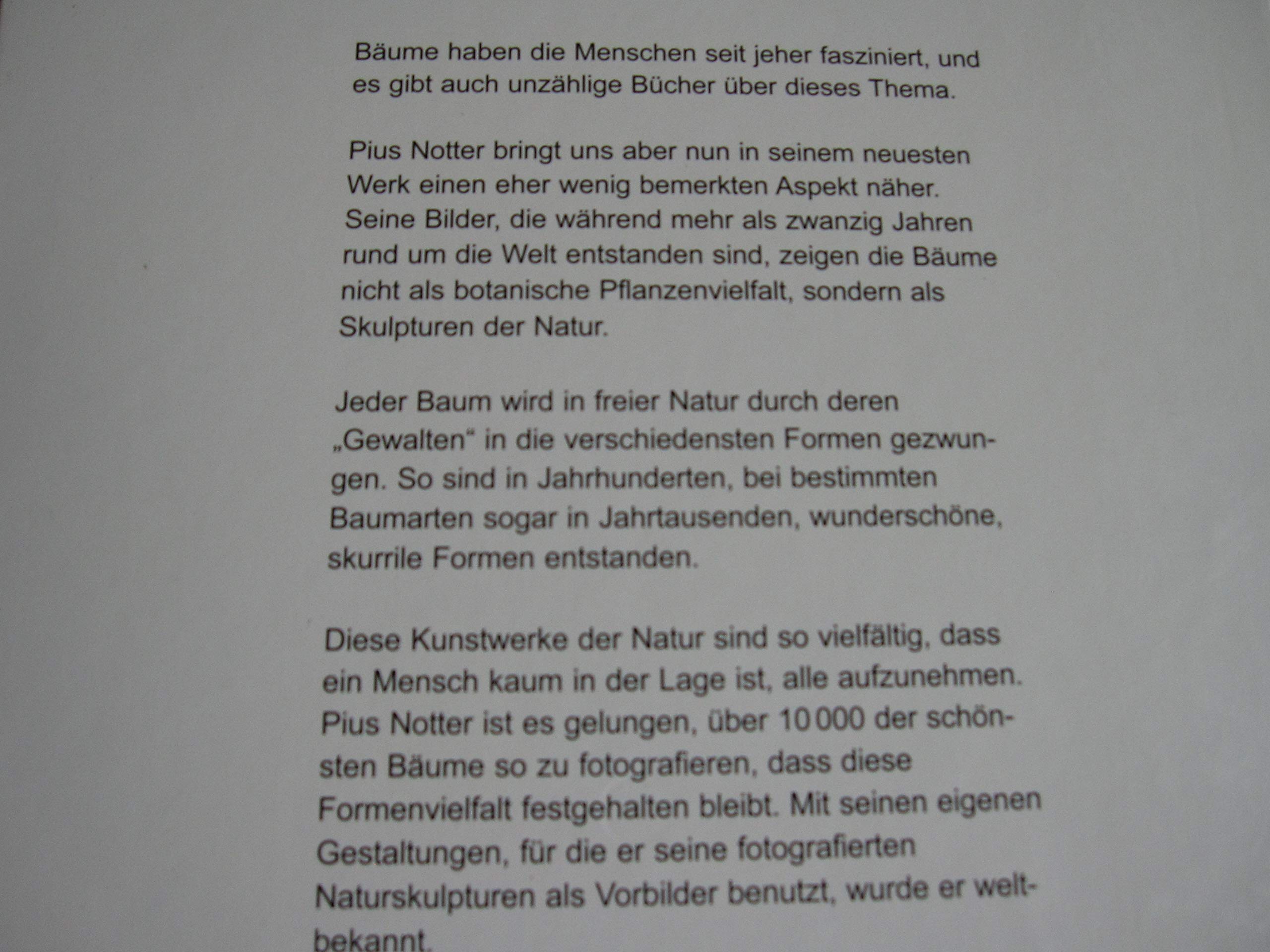 Baumgestalter Natur (Gebundener Fotoband)