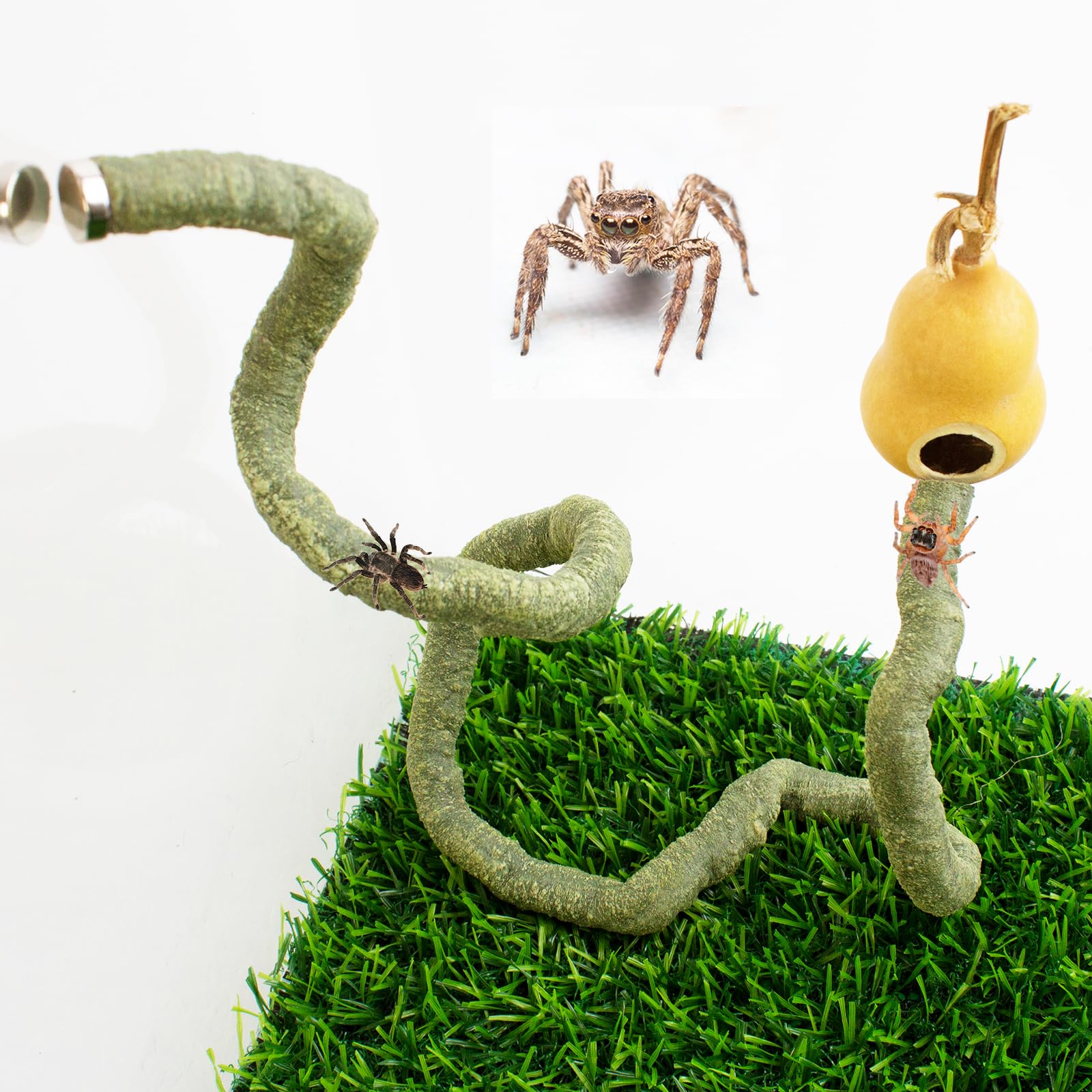 FlidRunest Jumping Spider Gourd Hide, 2 Pack Bendable Climbing Vine With Magnets, Spider Enclosure Accessories Kit, Pet Habitat Hideout