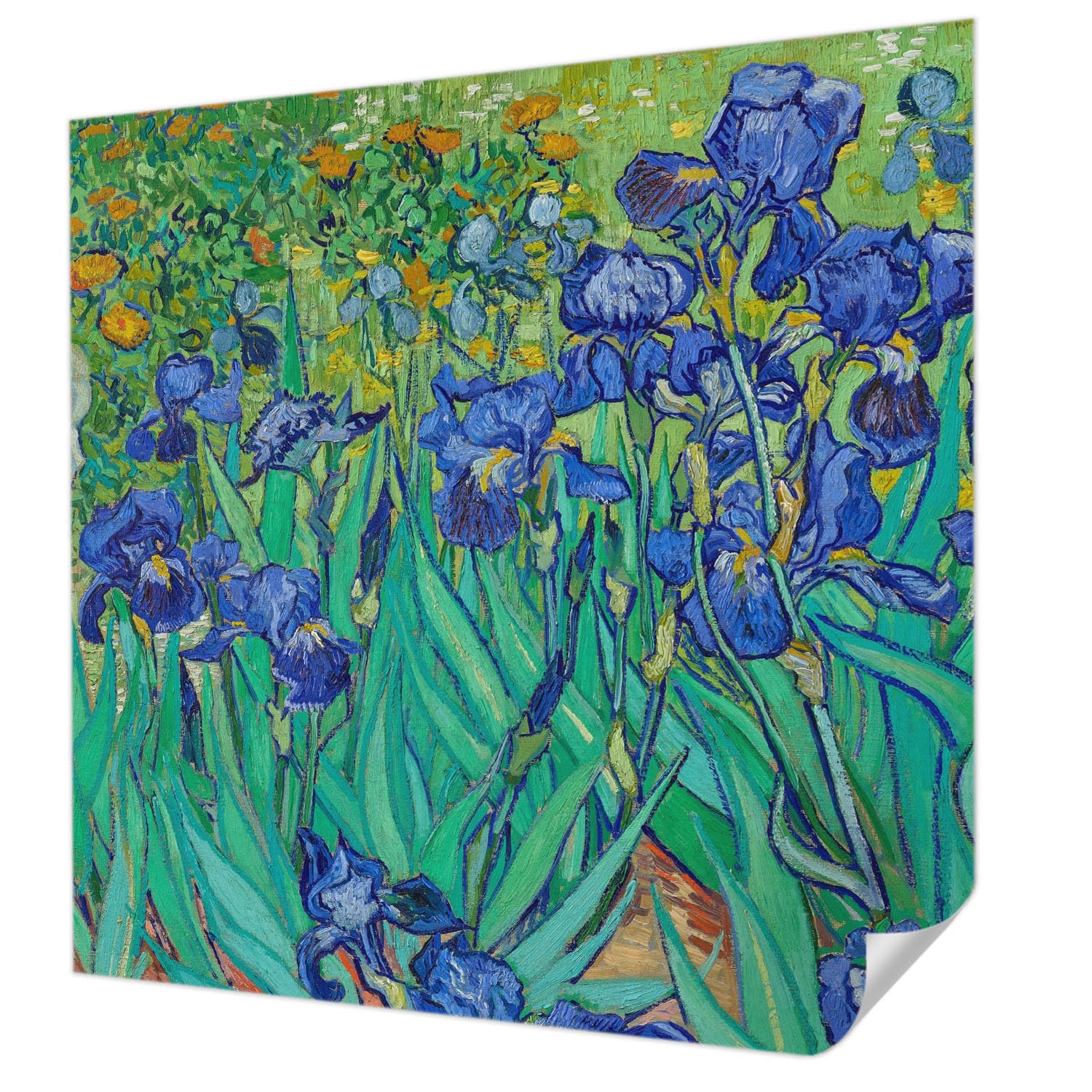 Papier peint autocollant mural panoramique fleurs du jardin 250x250 cm