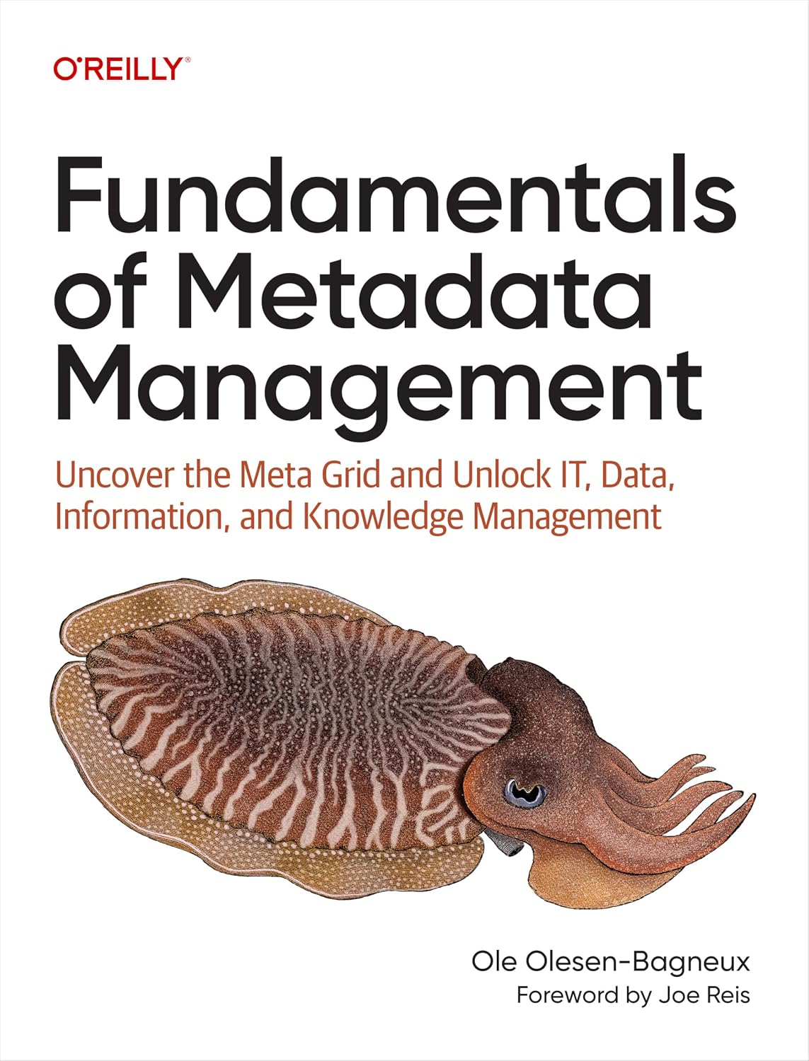 Fundamentals of Metadata Management: Uncover the Meta Grid and Unlock IT, Data, Information, and Knowledge Management
